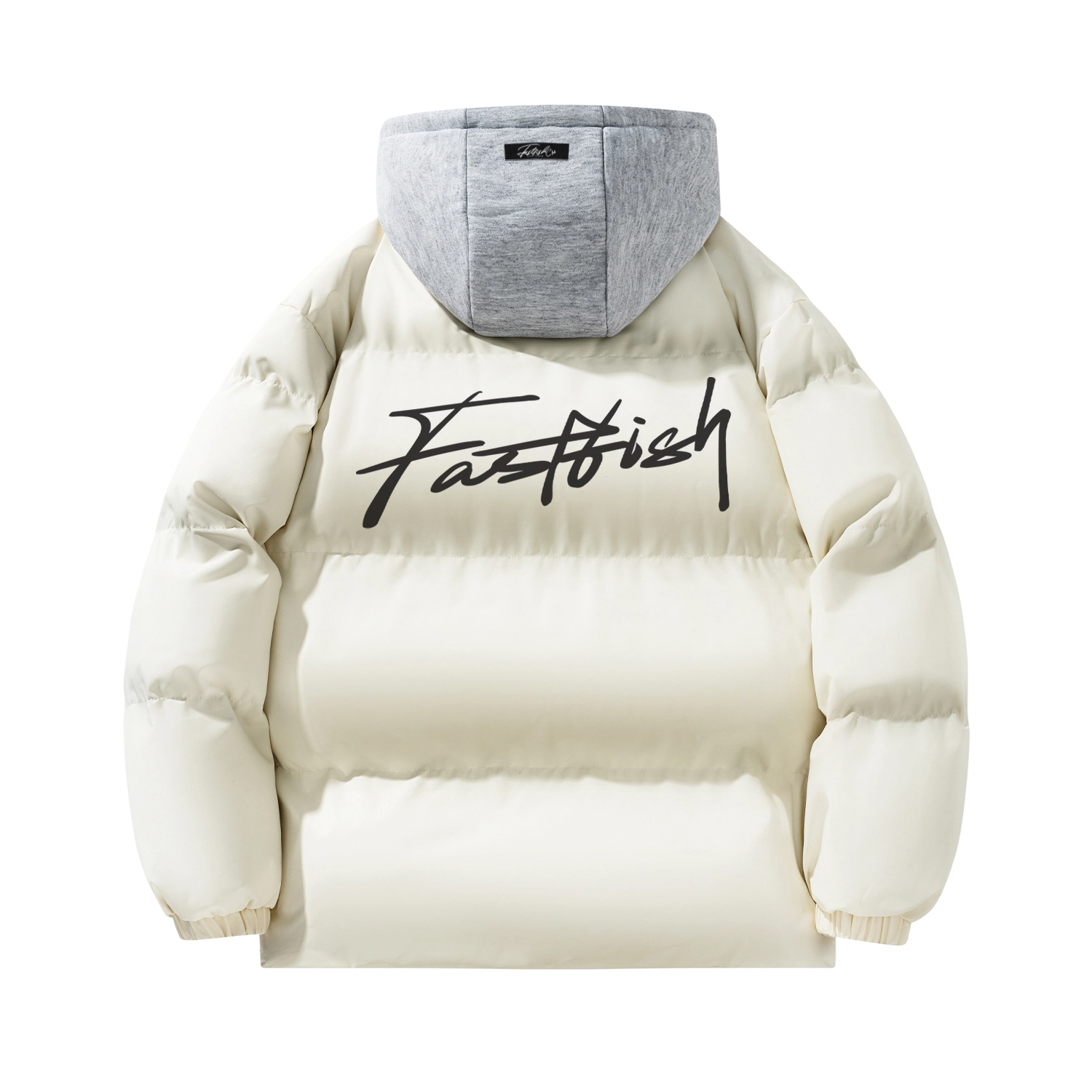 FASTFISH 3DLogo