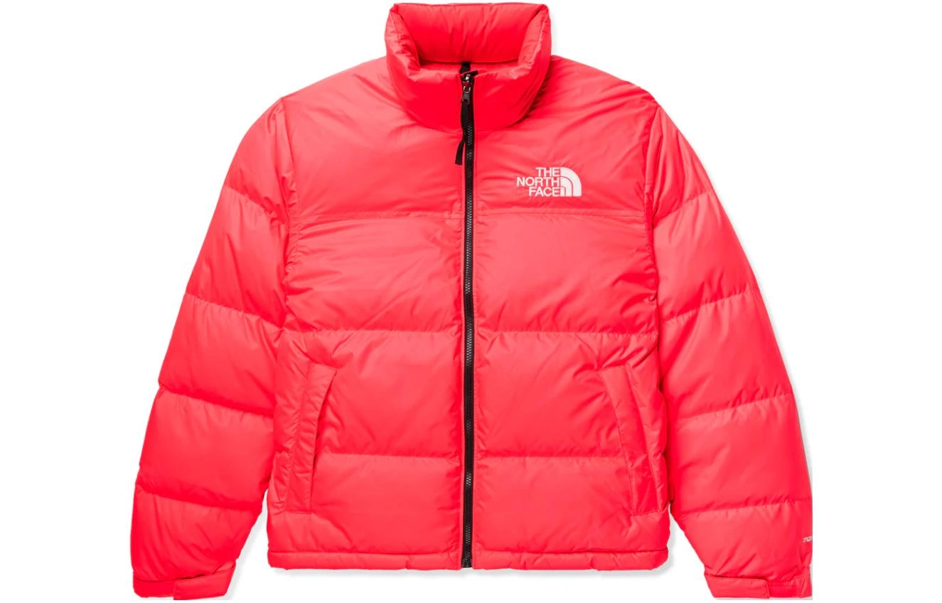THE NORTH FACE 1996 RETRO NUPTSE Logo