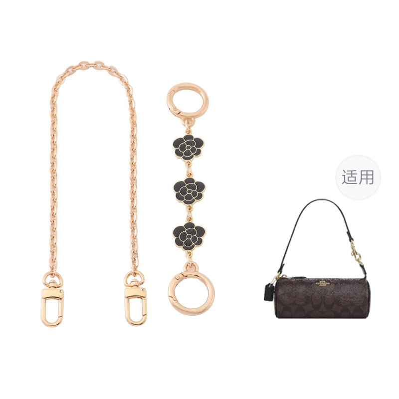 COACHnolita20