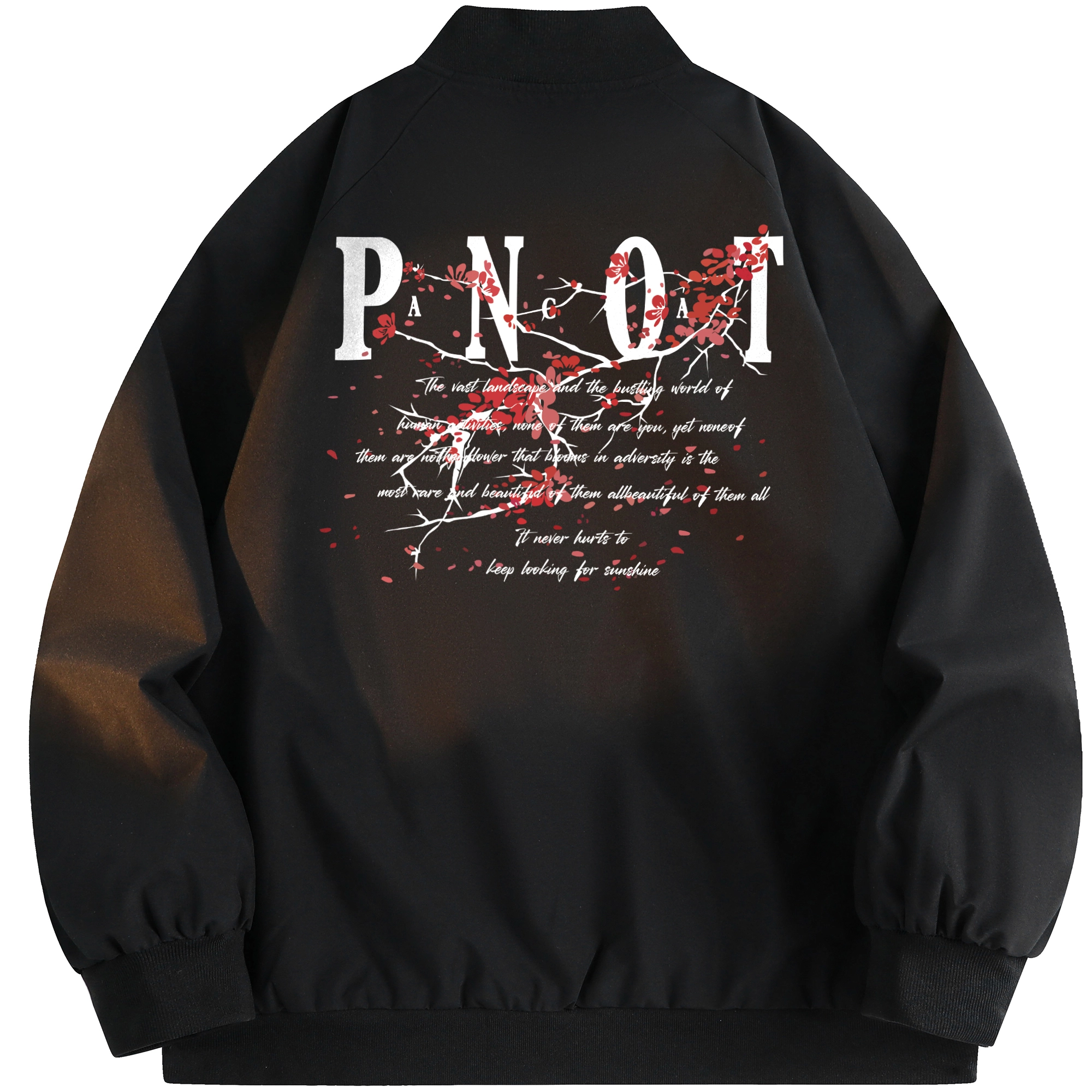 Pancoat logo