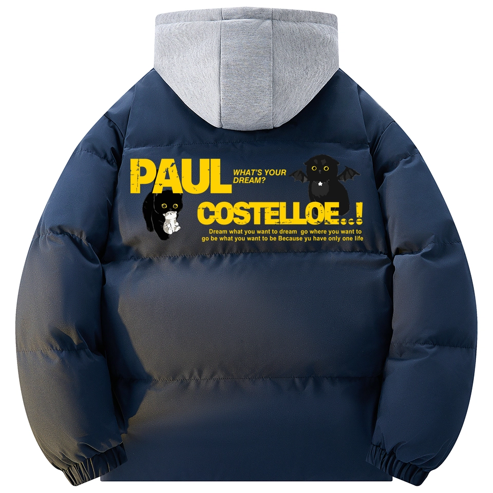 PAUL COSTELLOE logo