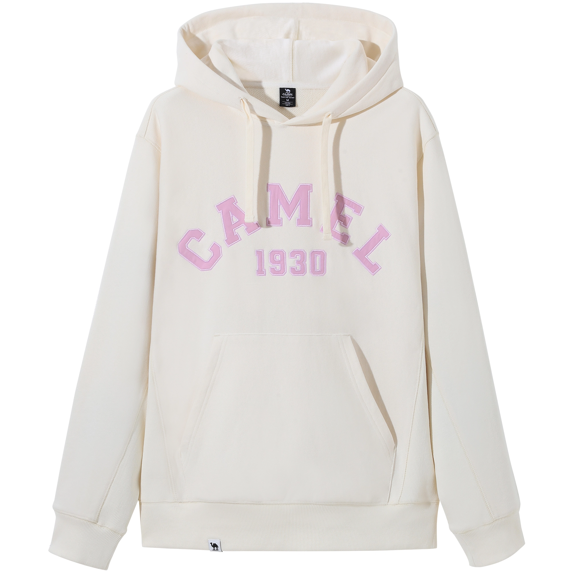CAMEL logo