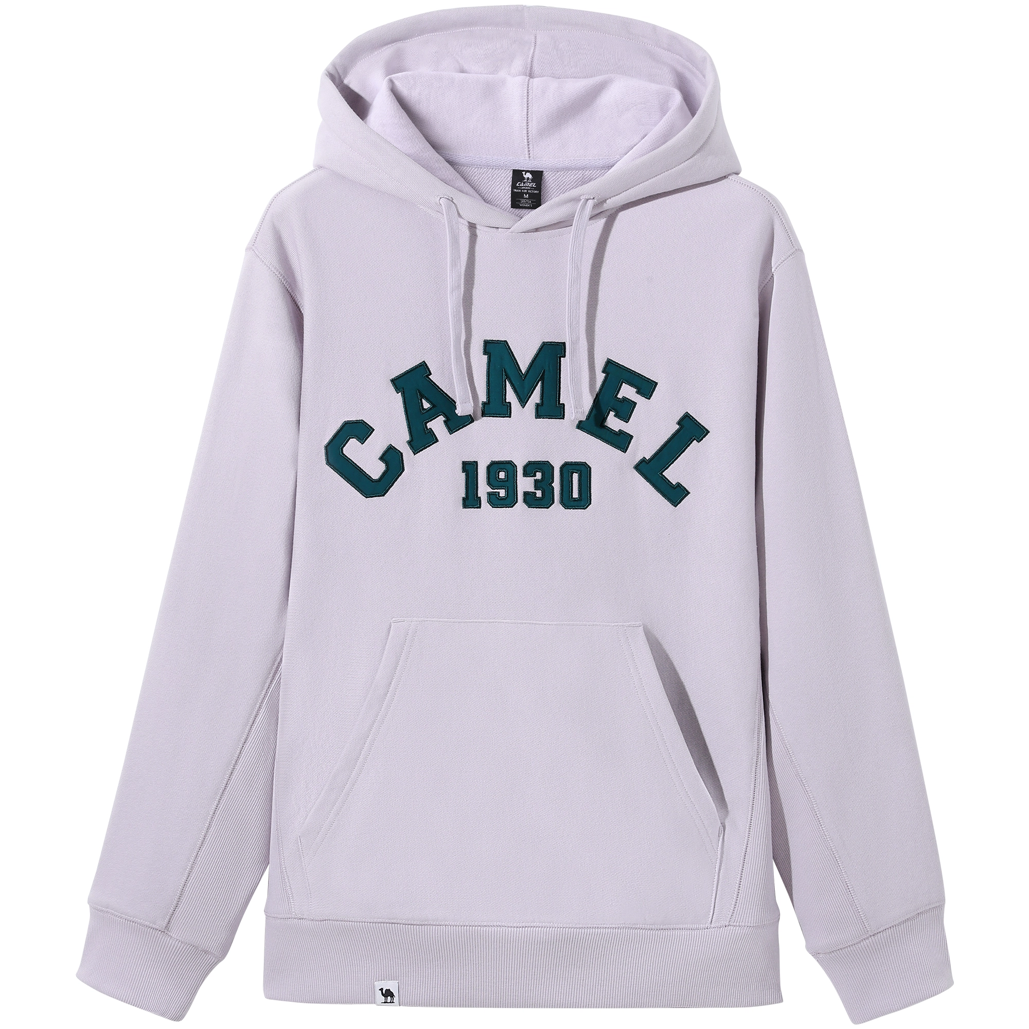 CAMEL logo