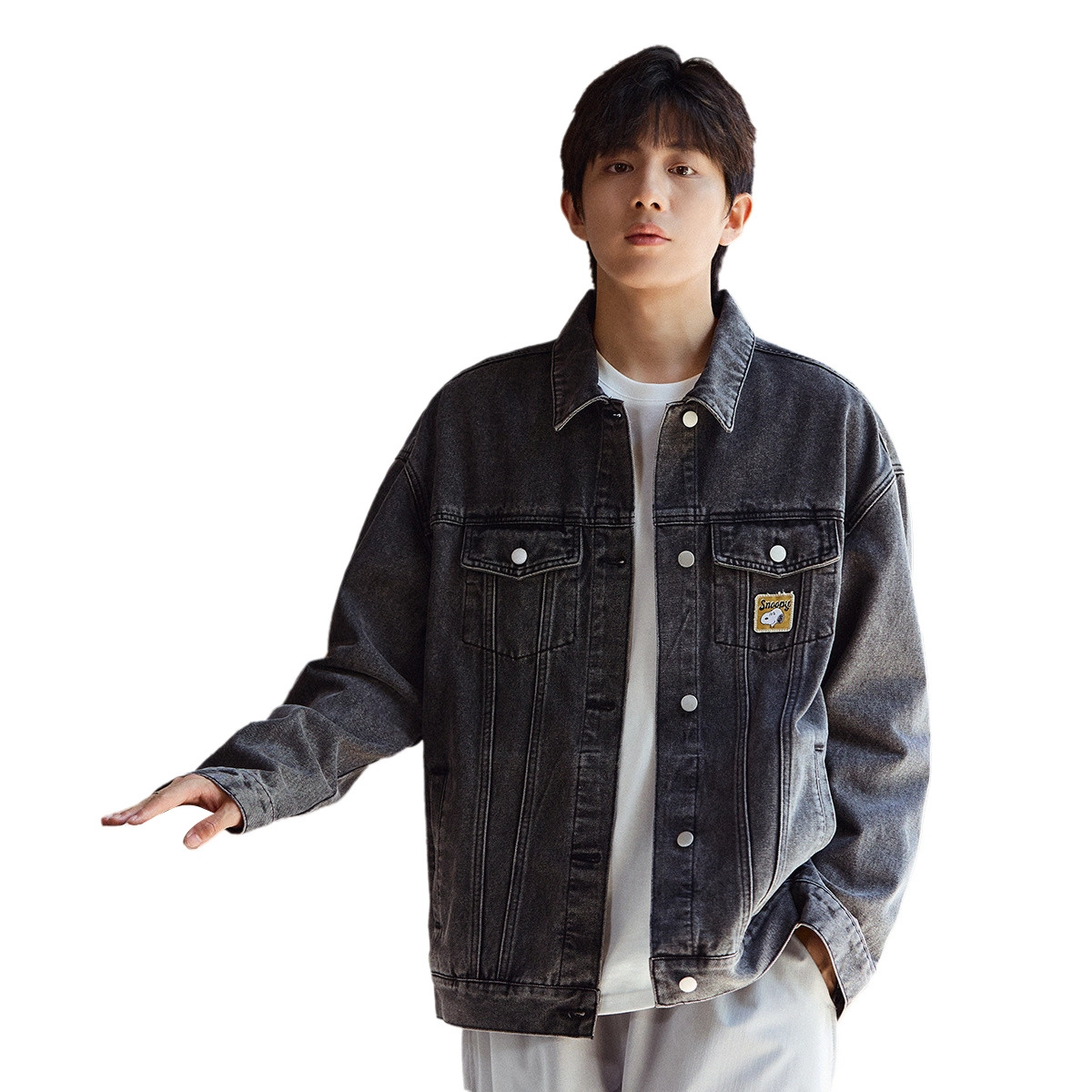 tonlion