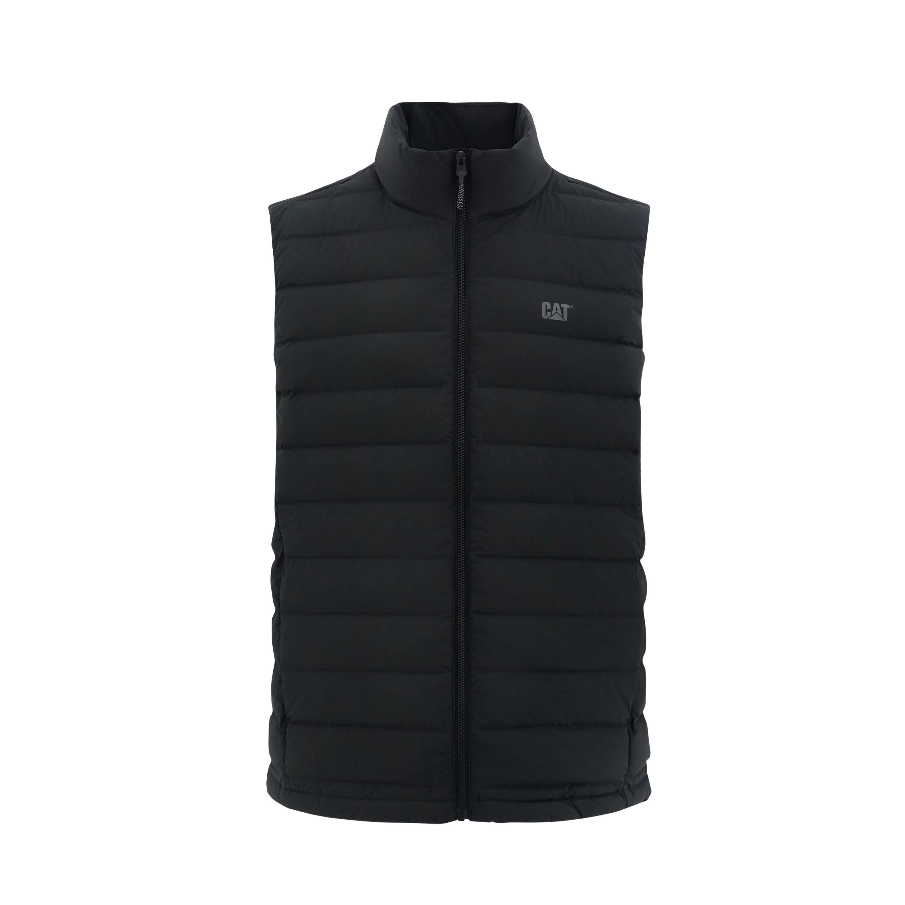 CAT FW24
