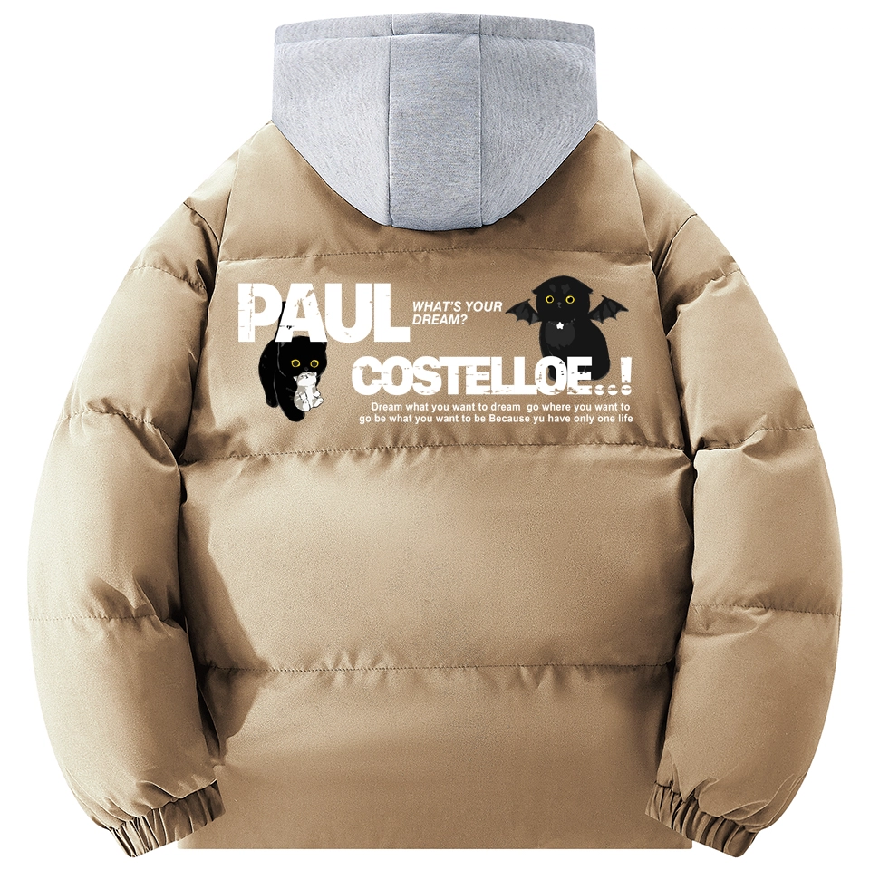 PAUL COSTELLOE logo