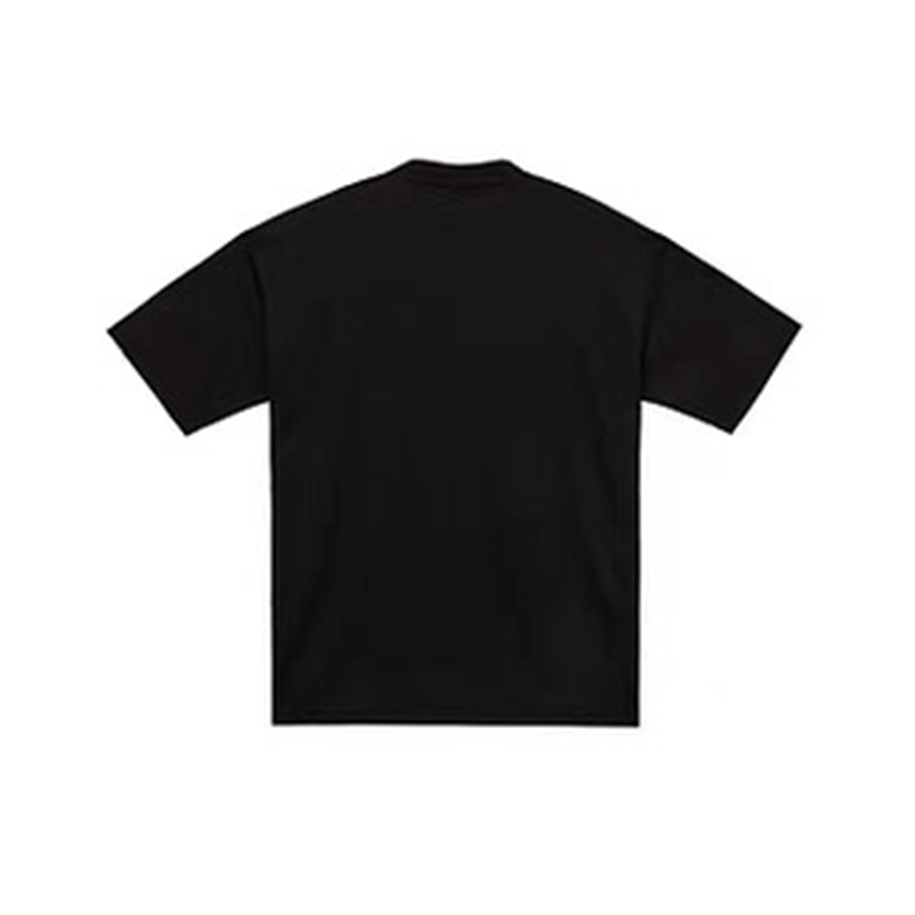 SXSY T
