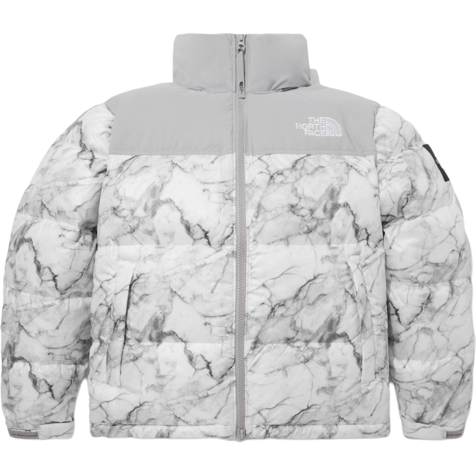 THE NORTH FACE FW23 1996 Eco Novelty Nuptse