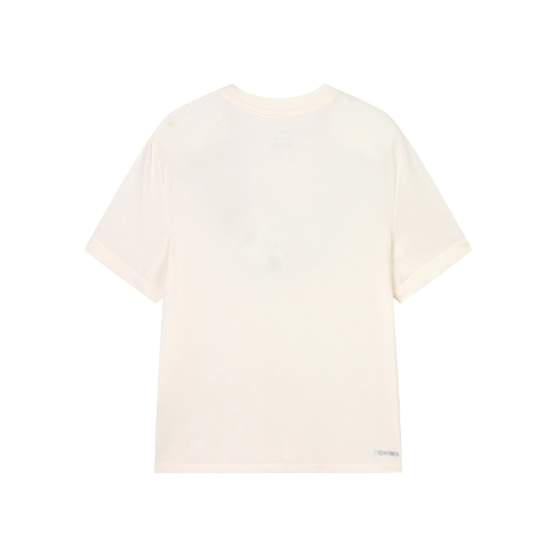 logo T DS