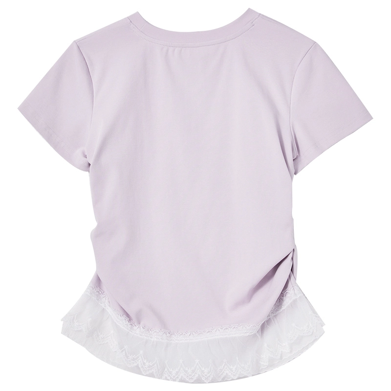 WESTLINK T