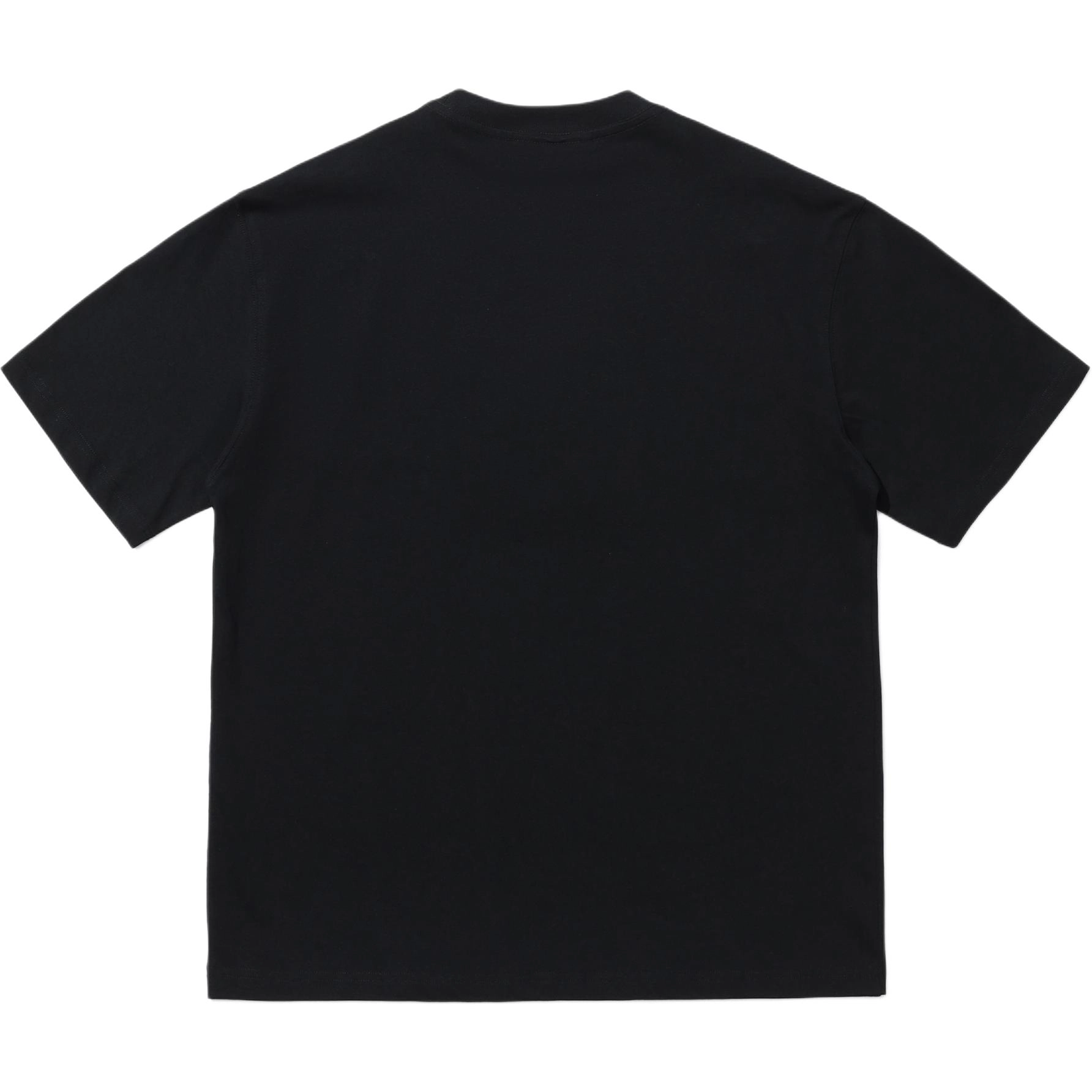 PAINT STAIN T