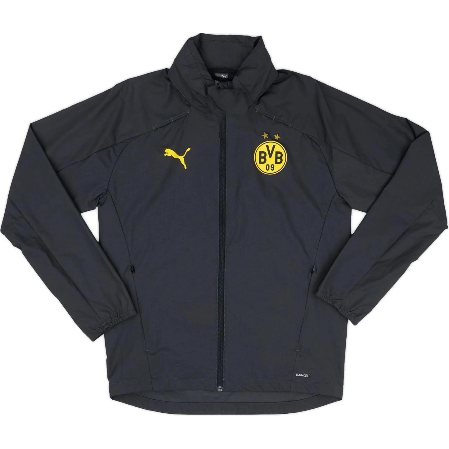 PUMA Borussia Dortmund 2020-21 logo