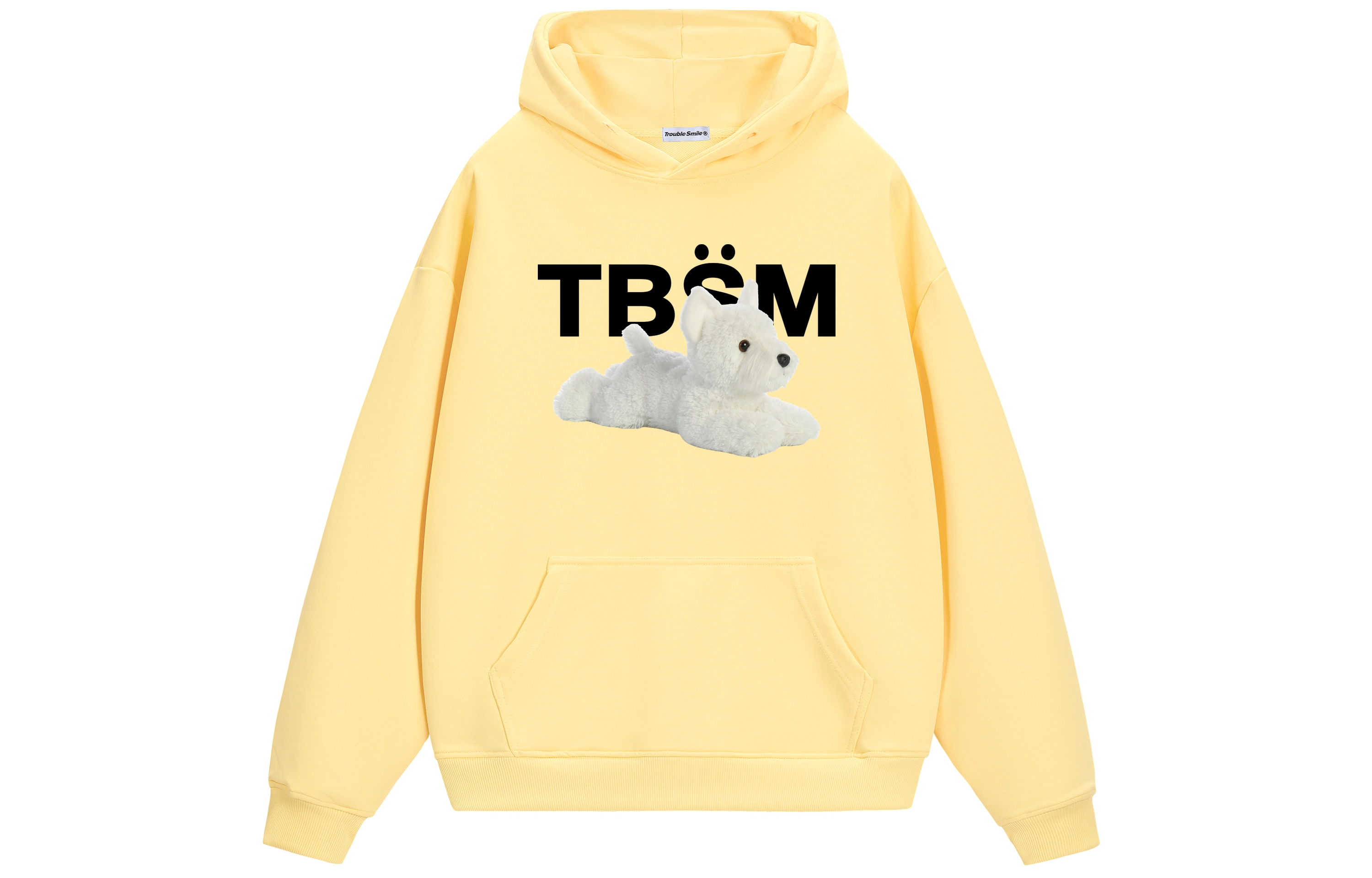 TBSM LOGO