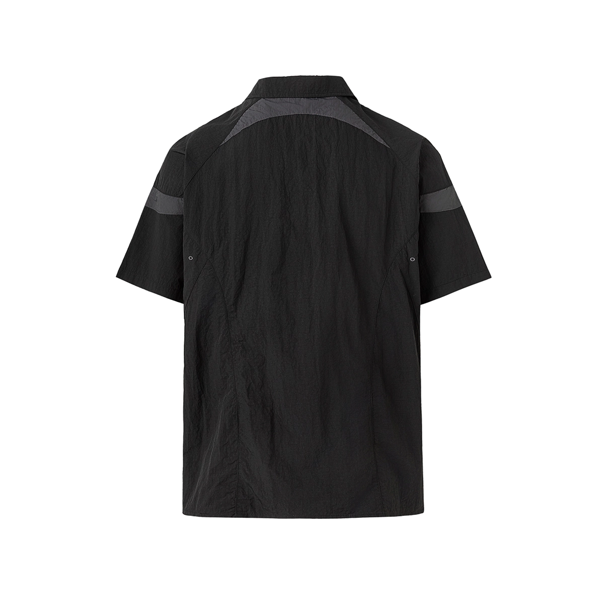 WELTER EXPERIMENT Polo
