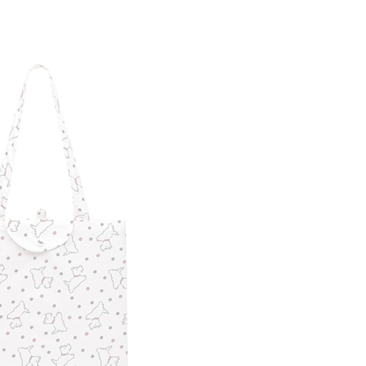RADLEY Tote
