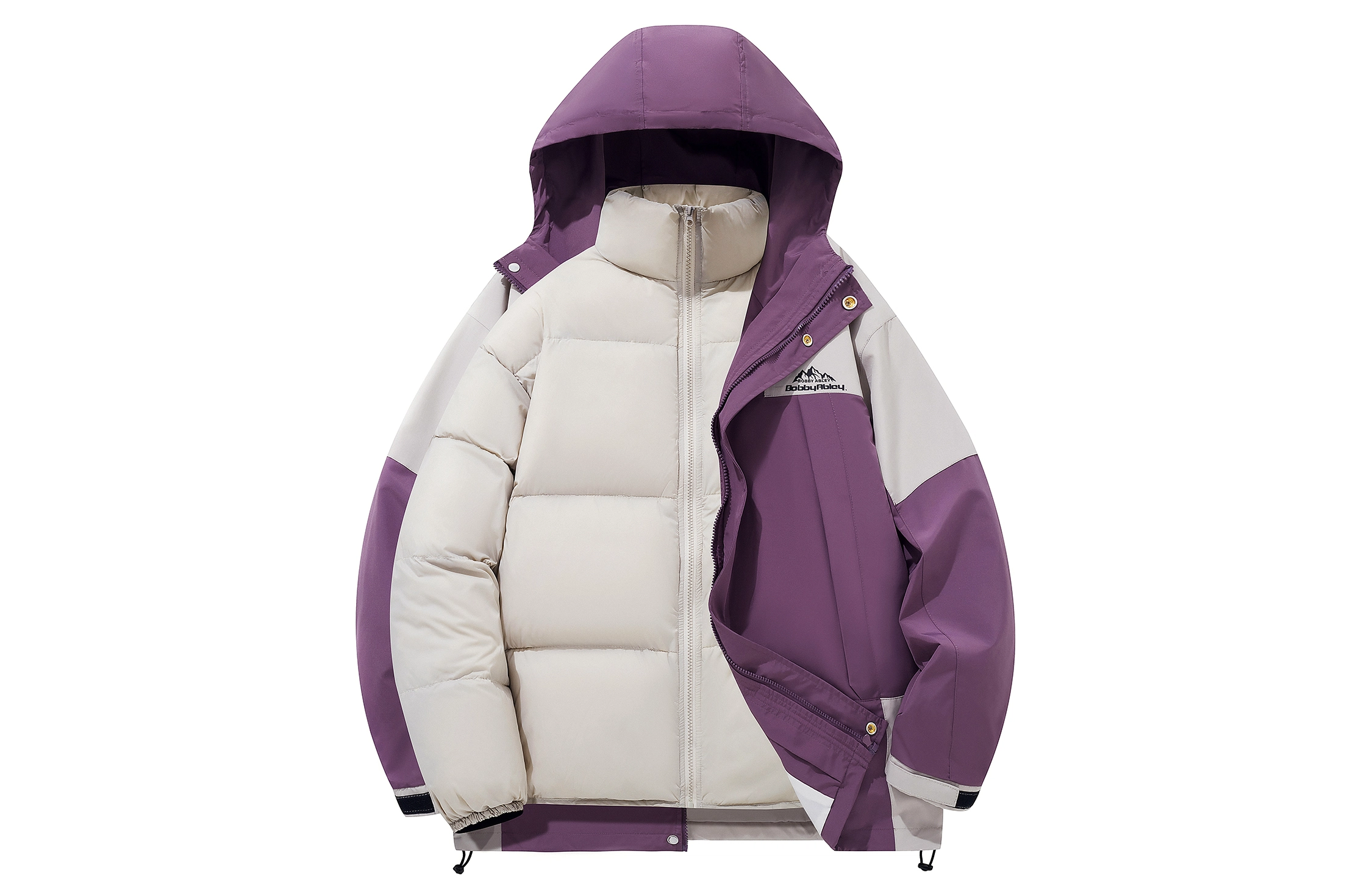 BOBBY ABLEY Logo