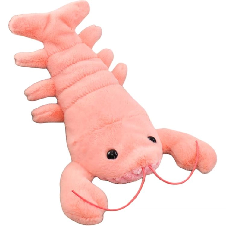 30CM