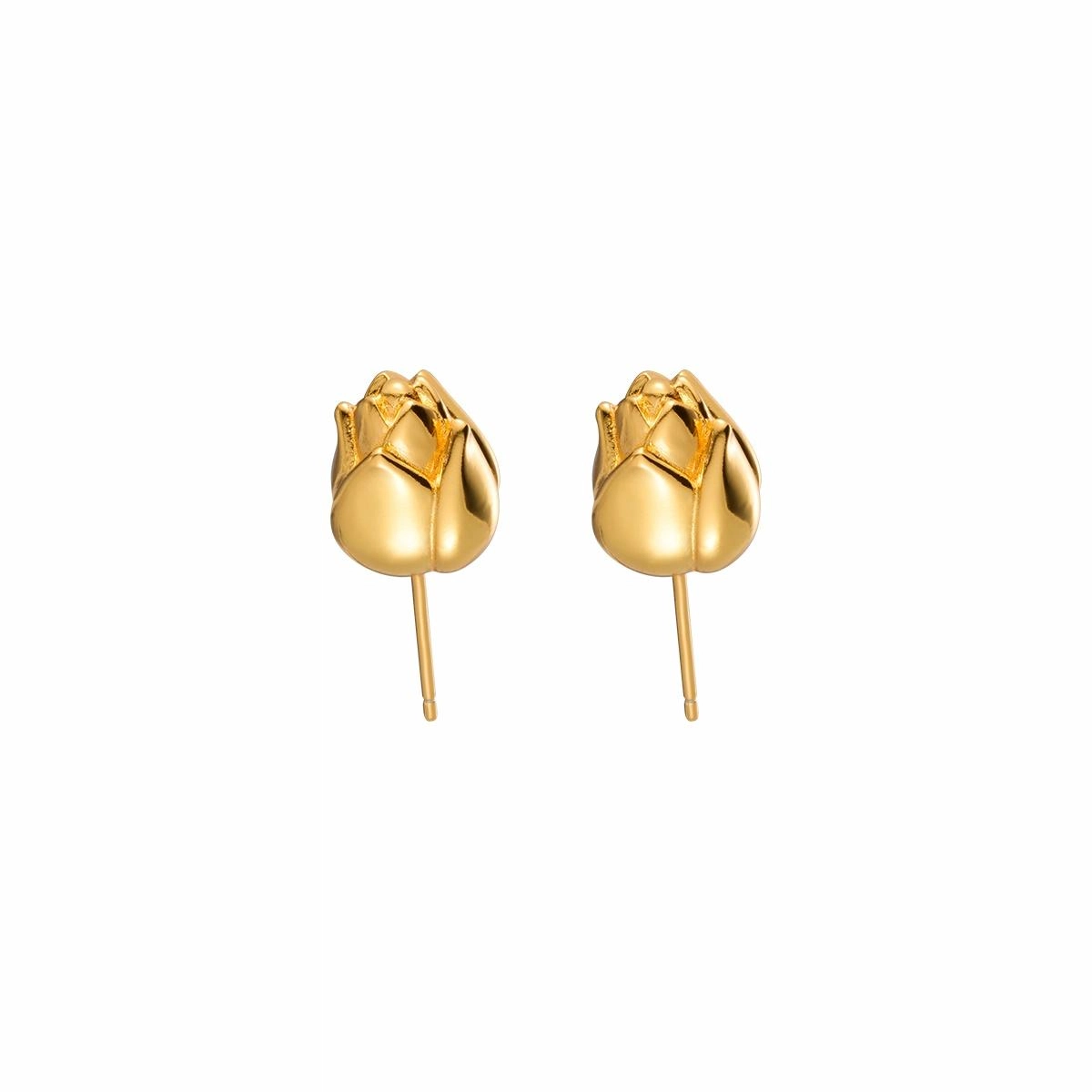 STUGAZI 24k