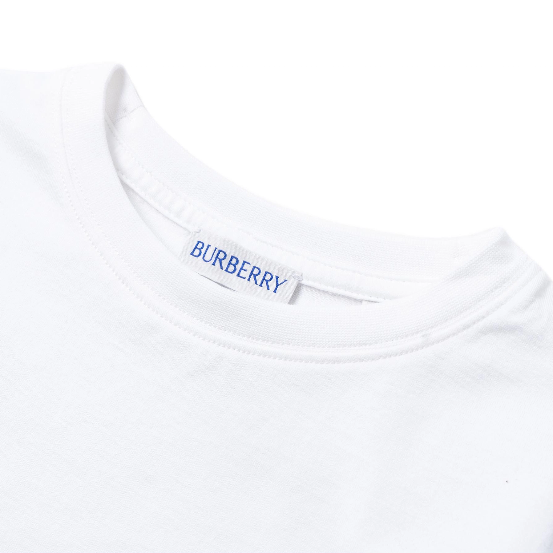 Burberry FW24 T