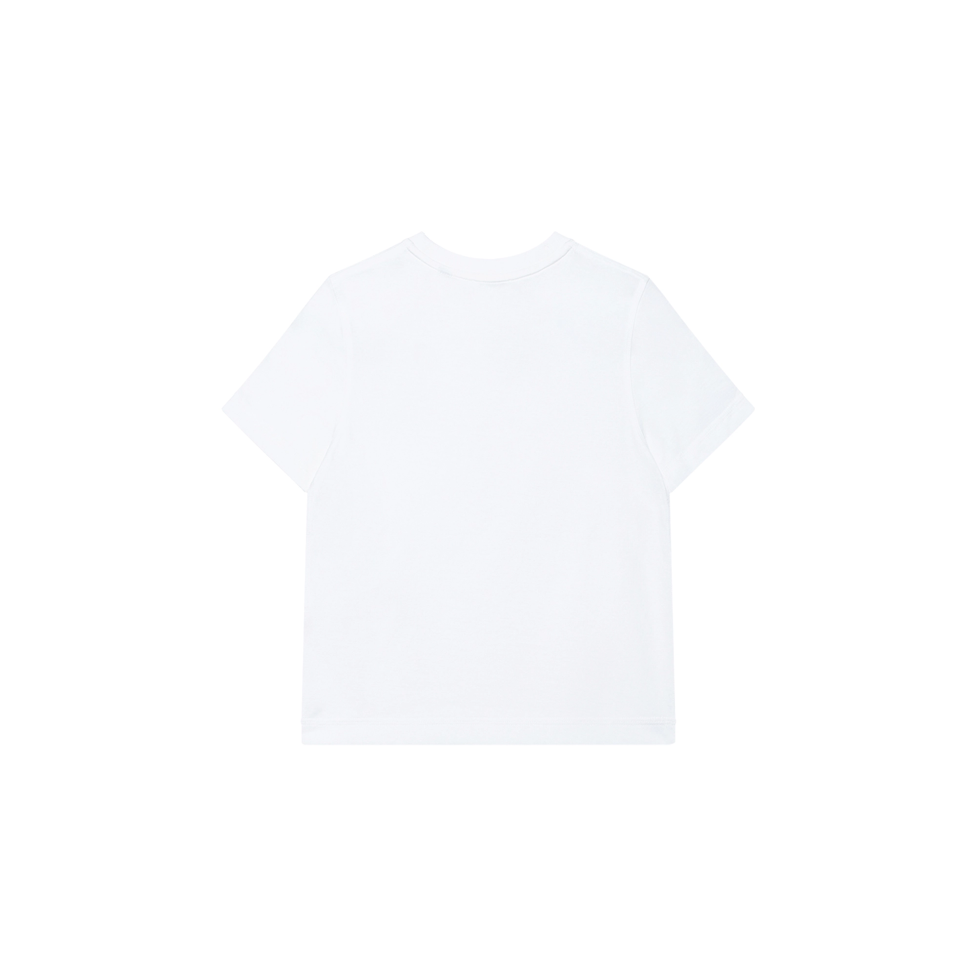 Burberry FW24 T