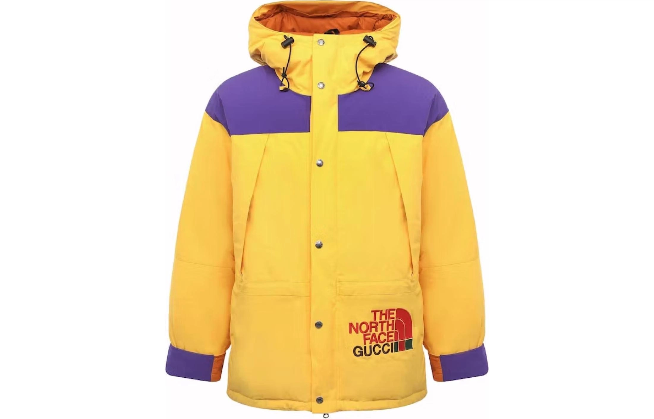 GUCCI x THE NORTH FACE Logo