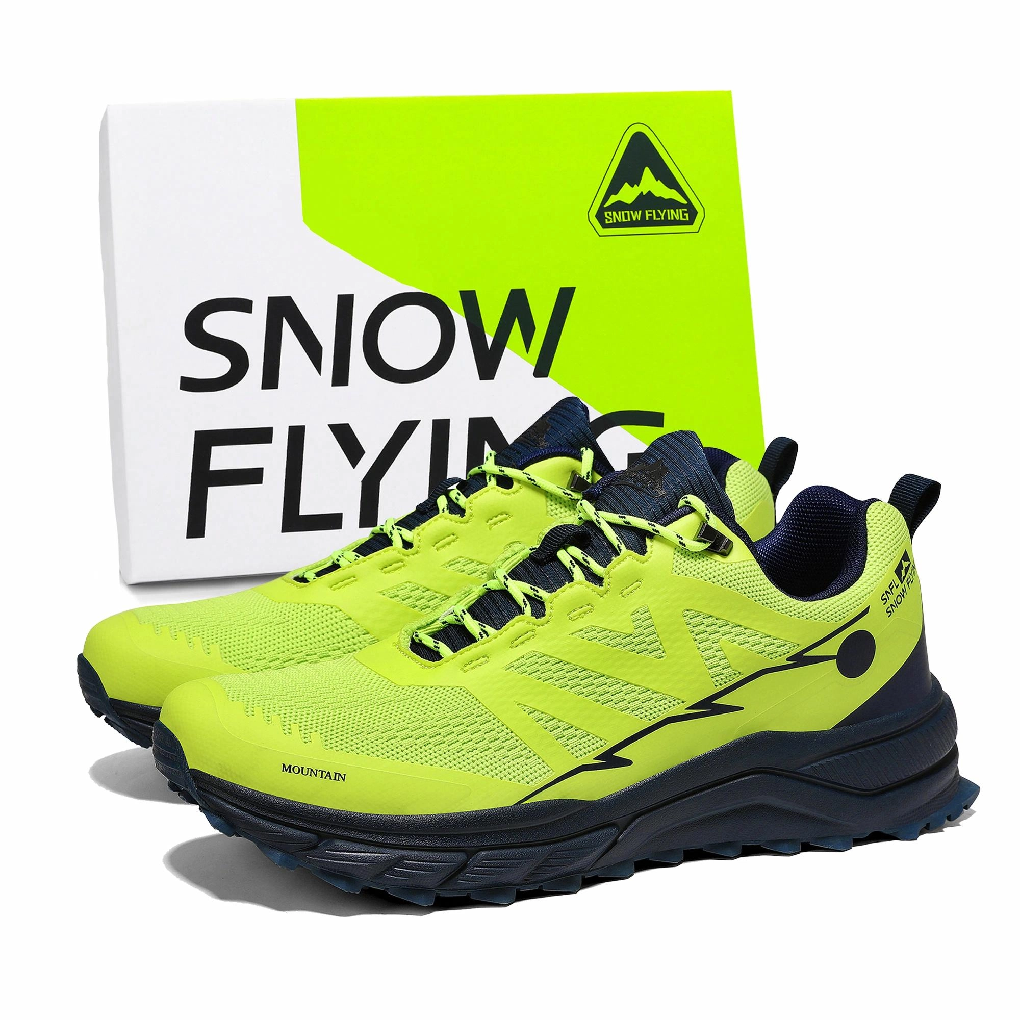 SNOW FLYING