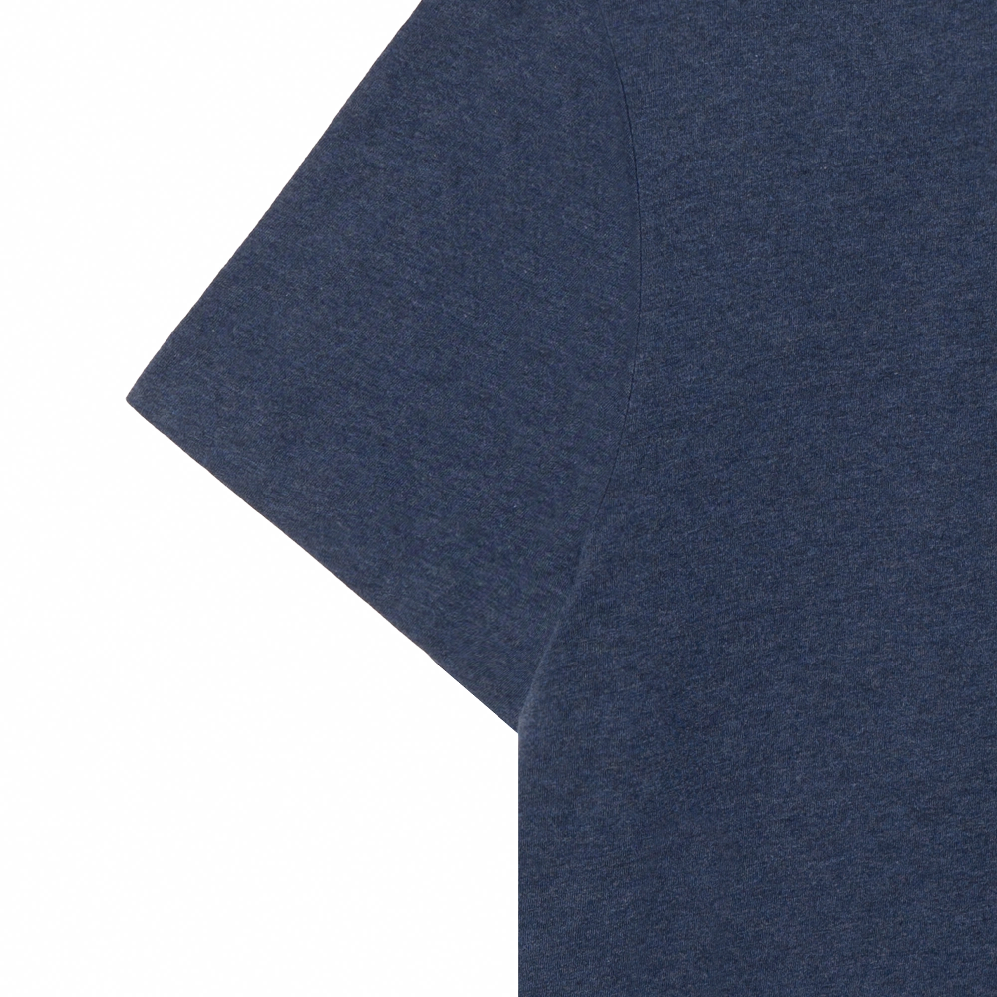 Polo Ralph Lauren SS24 LogoT