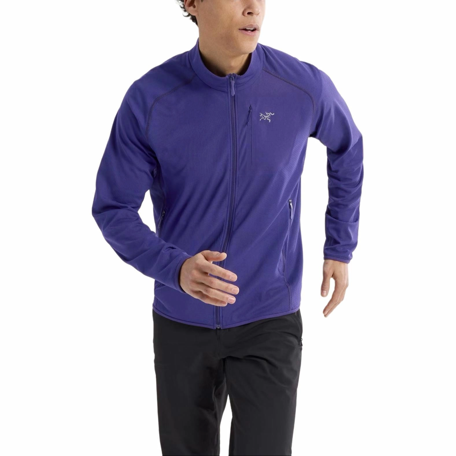 Arcteryx DELTA 12 Logo