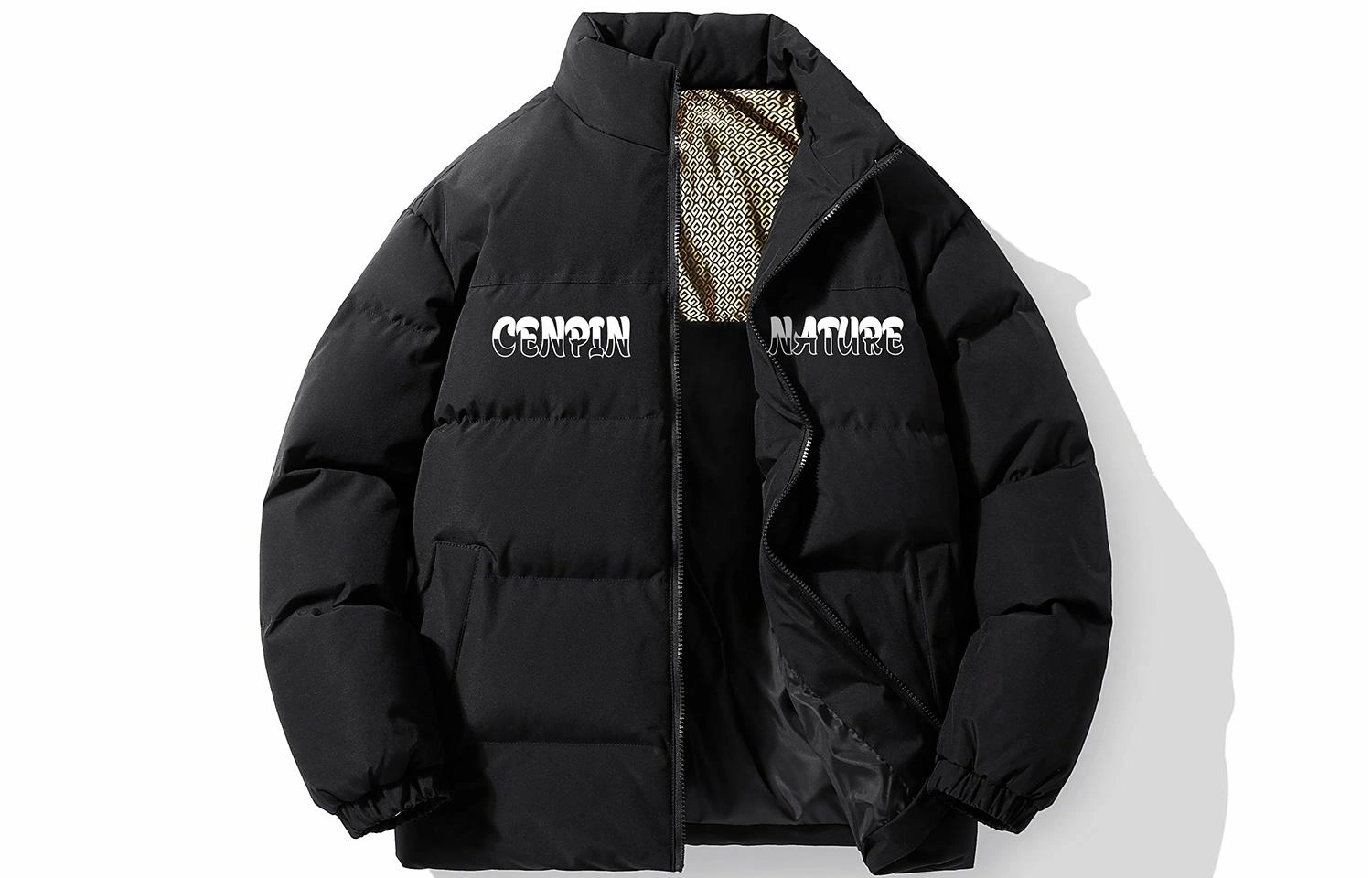 CENPIN