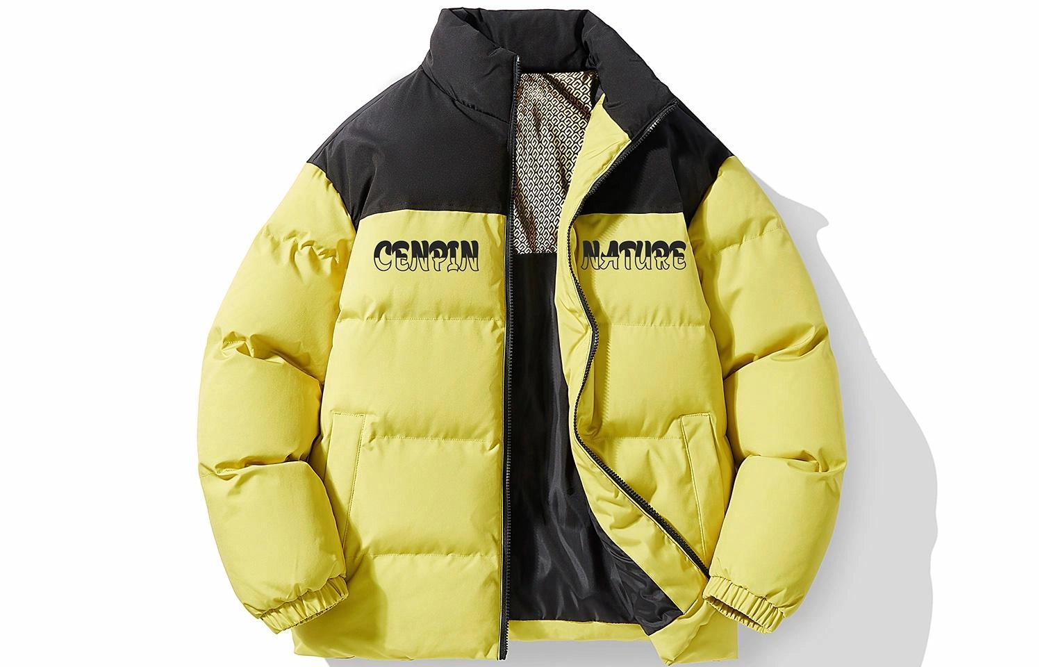 CENPIN
