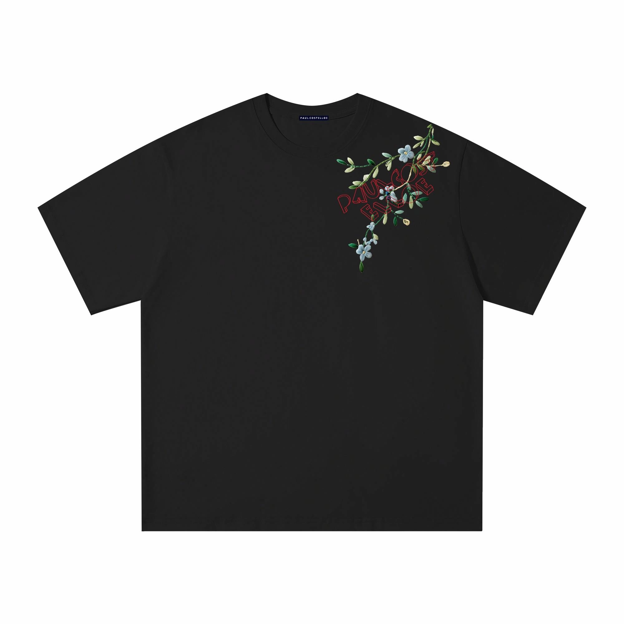 PAUL COSTELLOE T