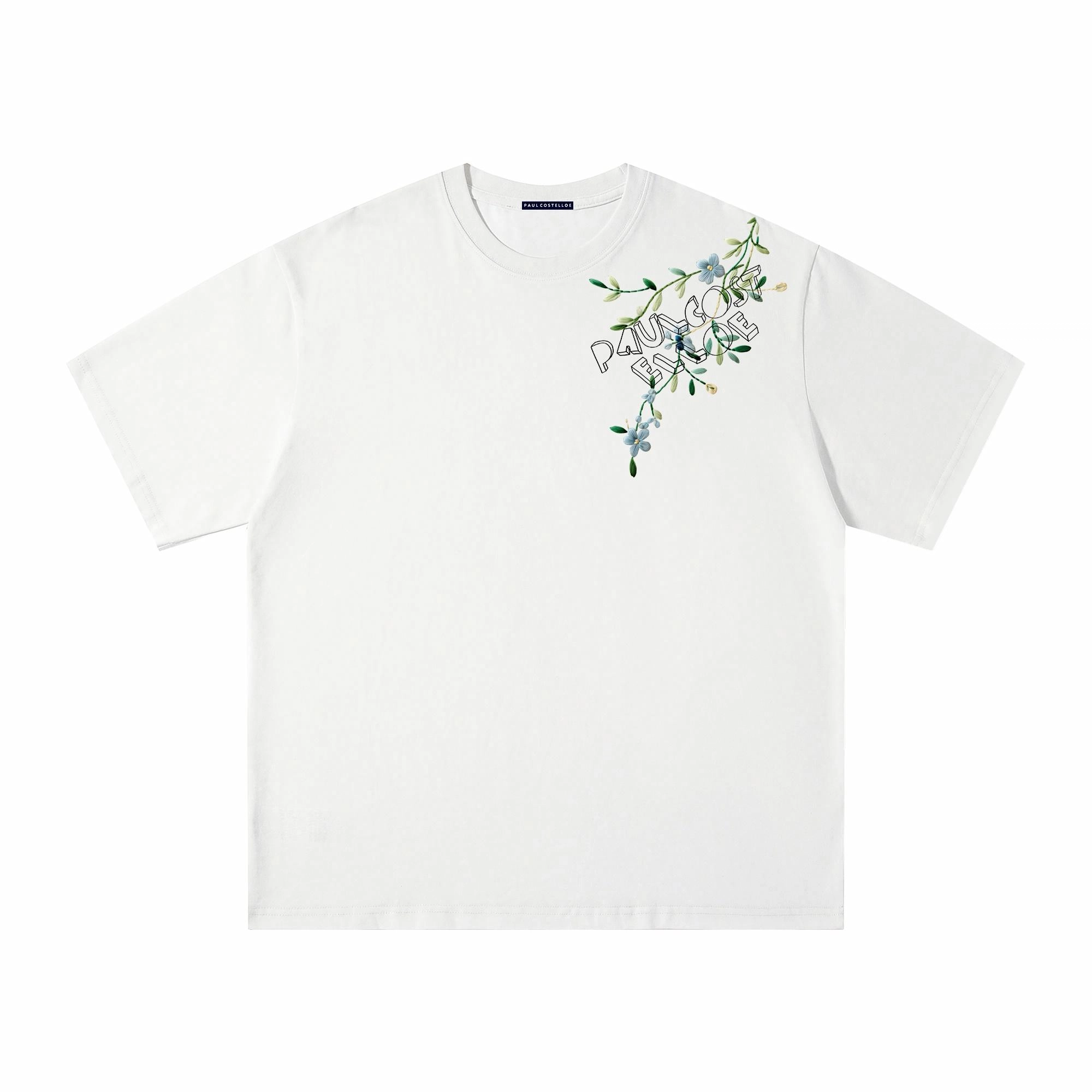 PAUL COSTELLOE T