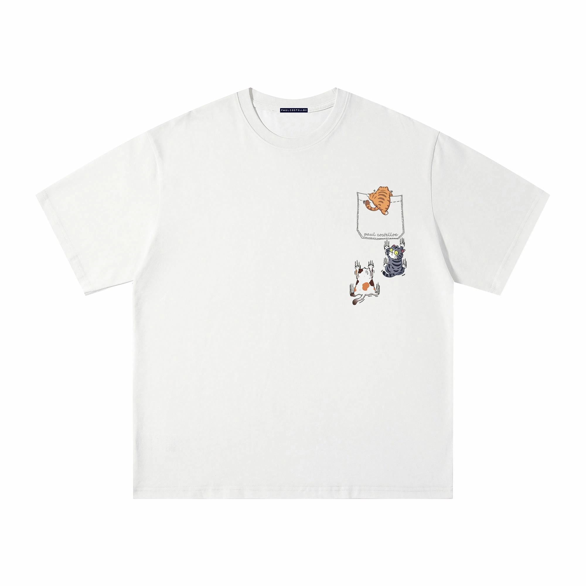 PAUL COSTELLOE T