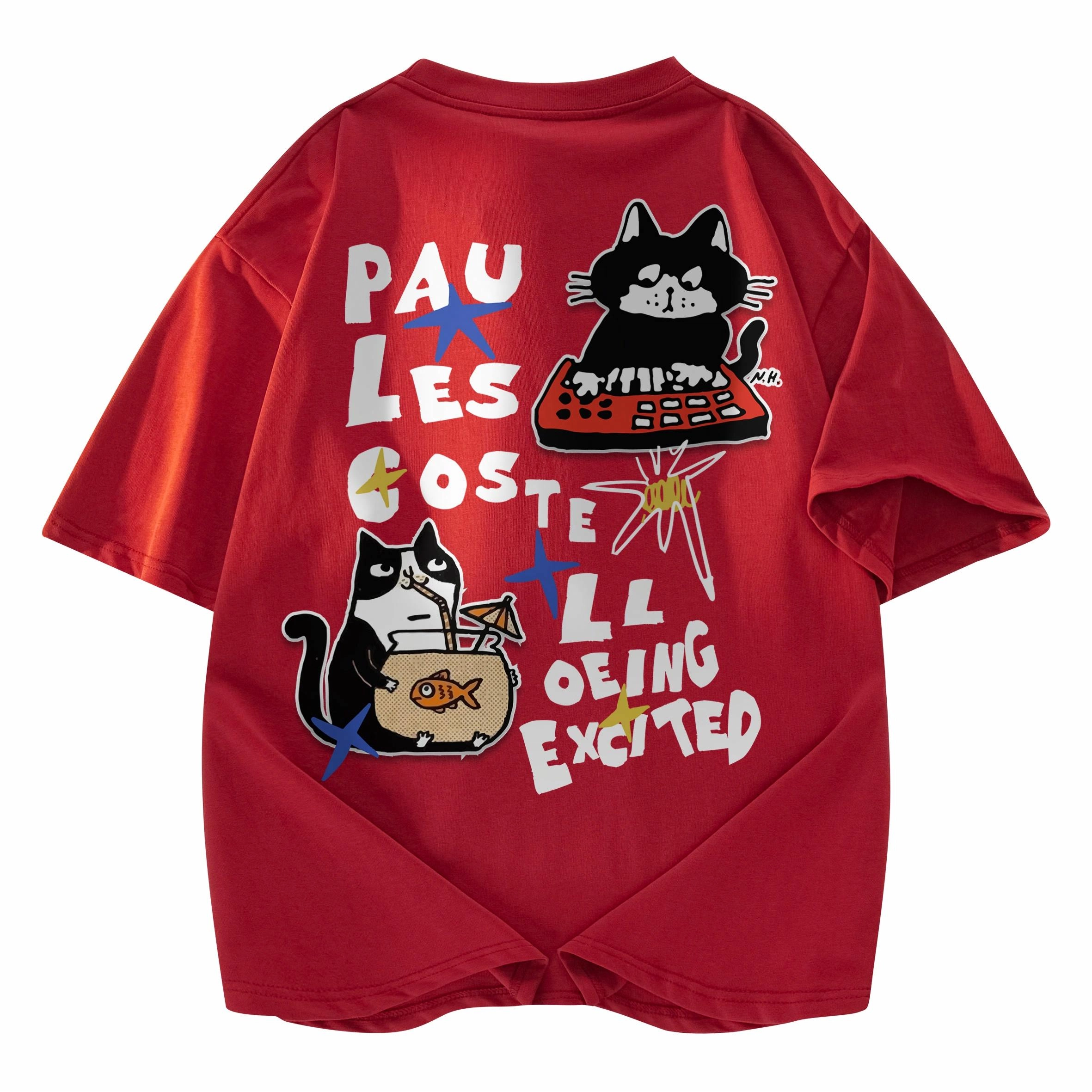 PAUL COSTELLOE T