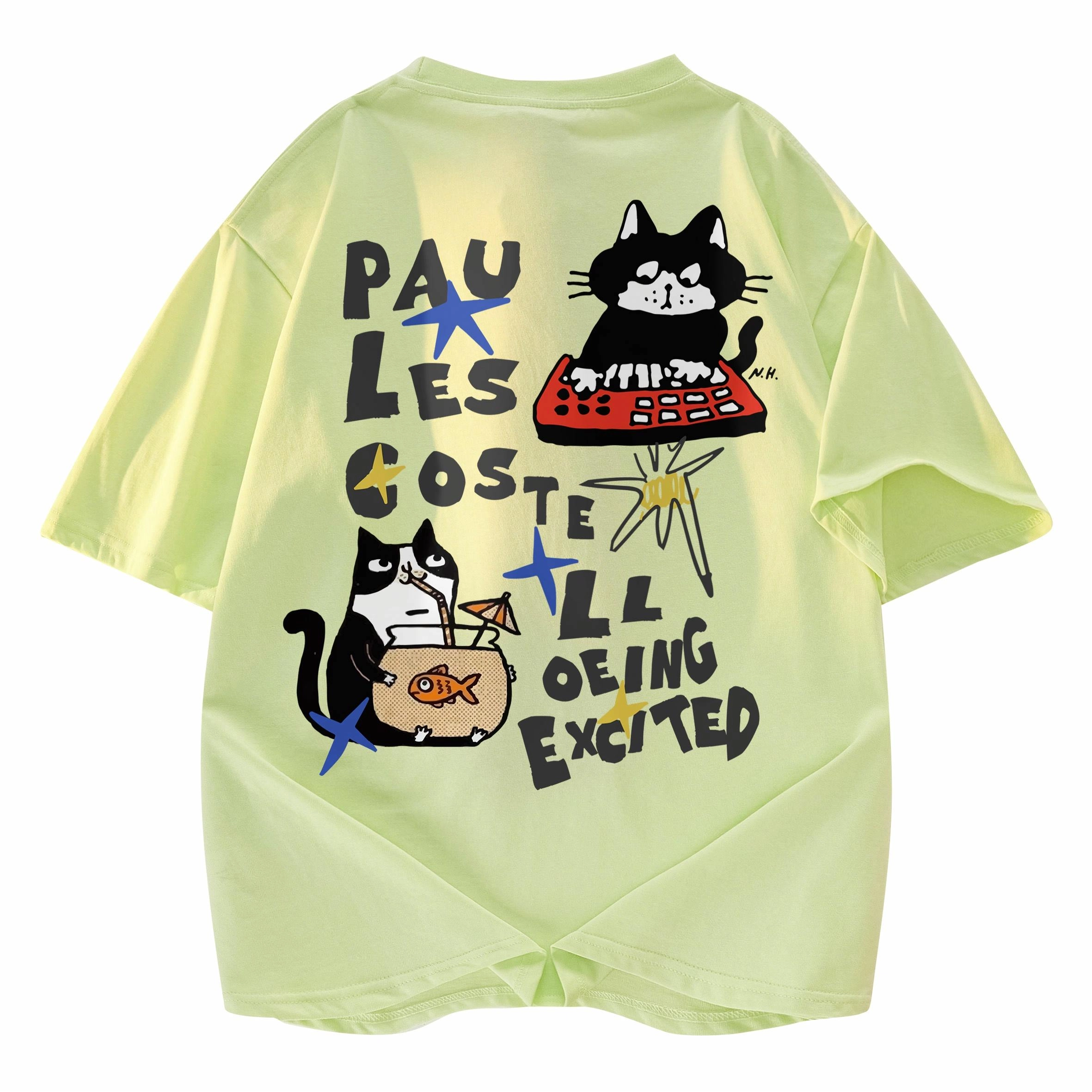 PAUL COSTELLOE T
