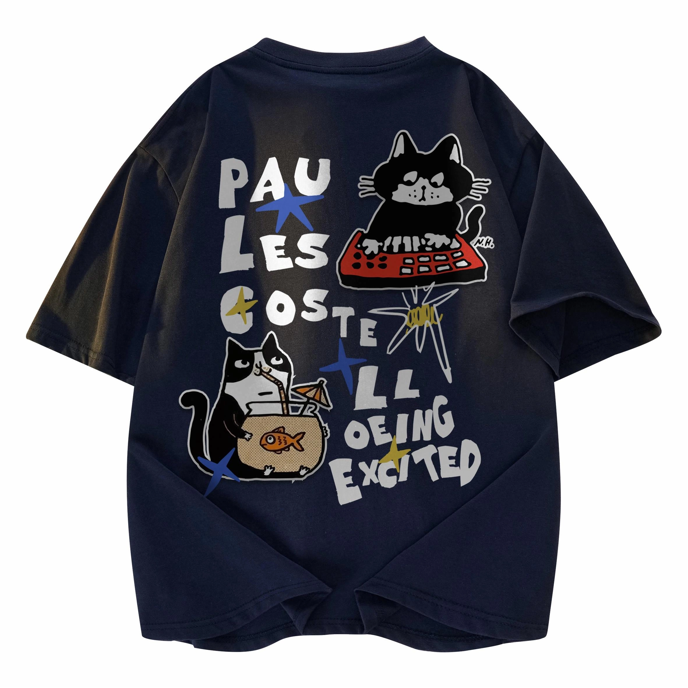 PAUL COSTELLOE T