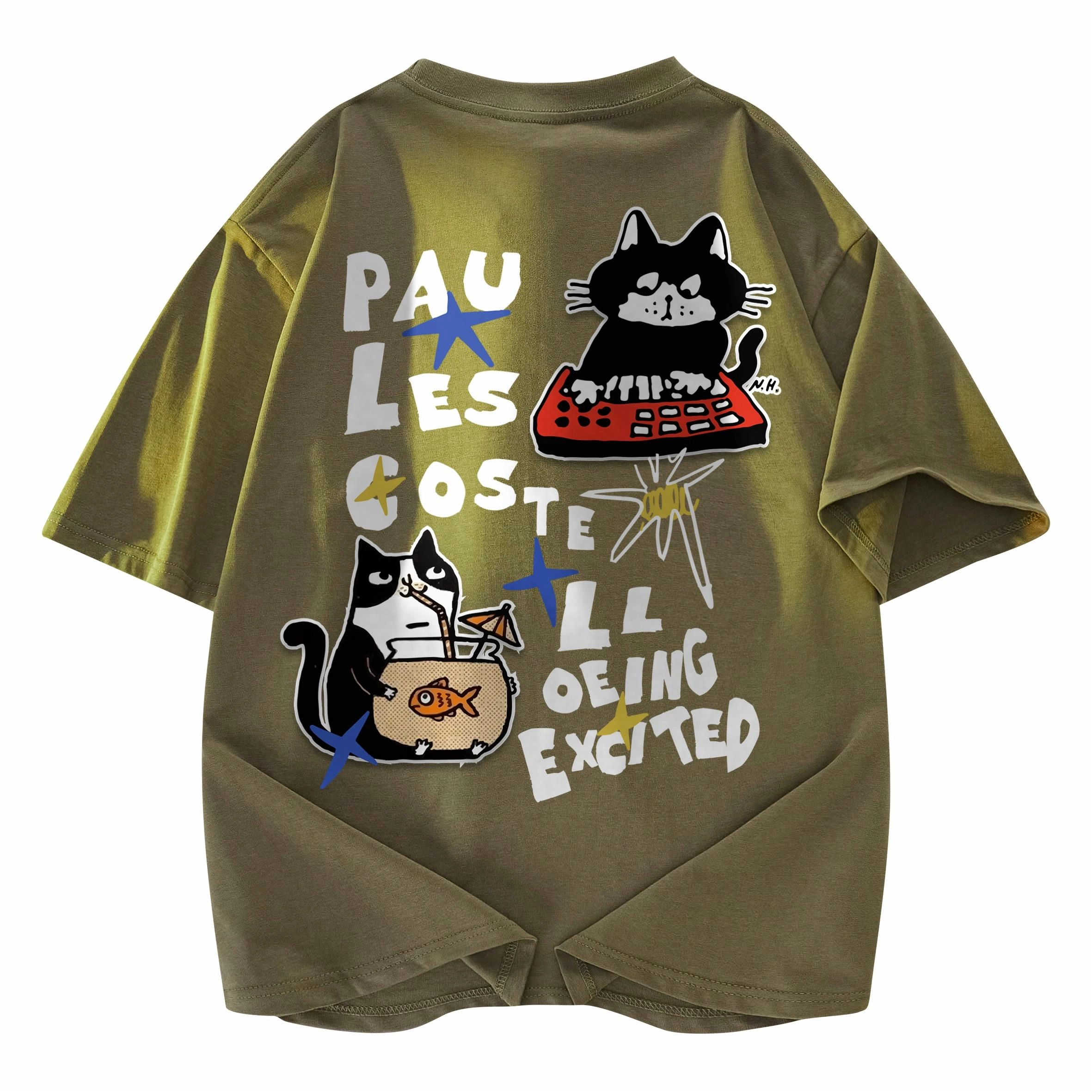 PAUL COSTELLOE T