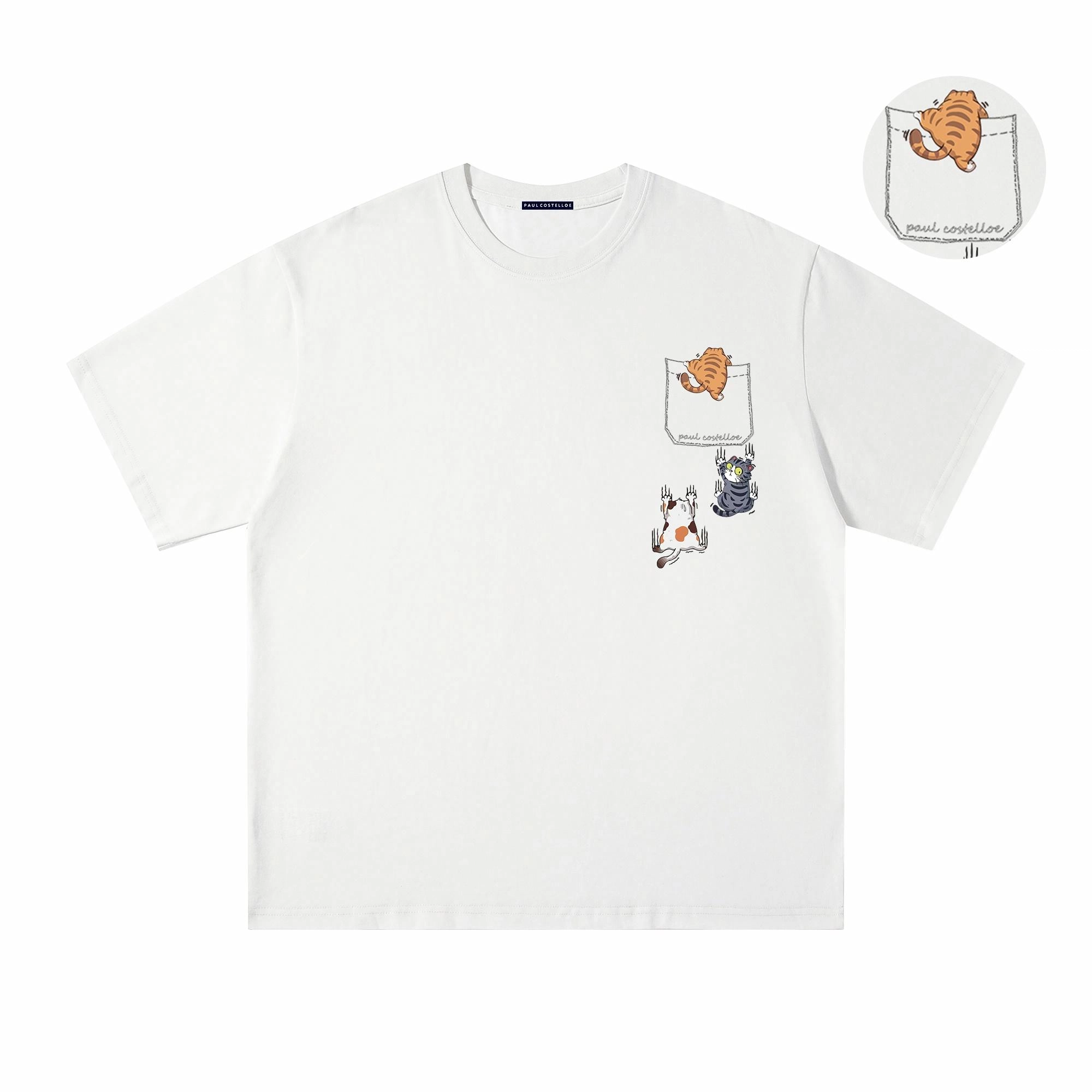PAUL COSTELLOE T
