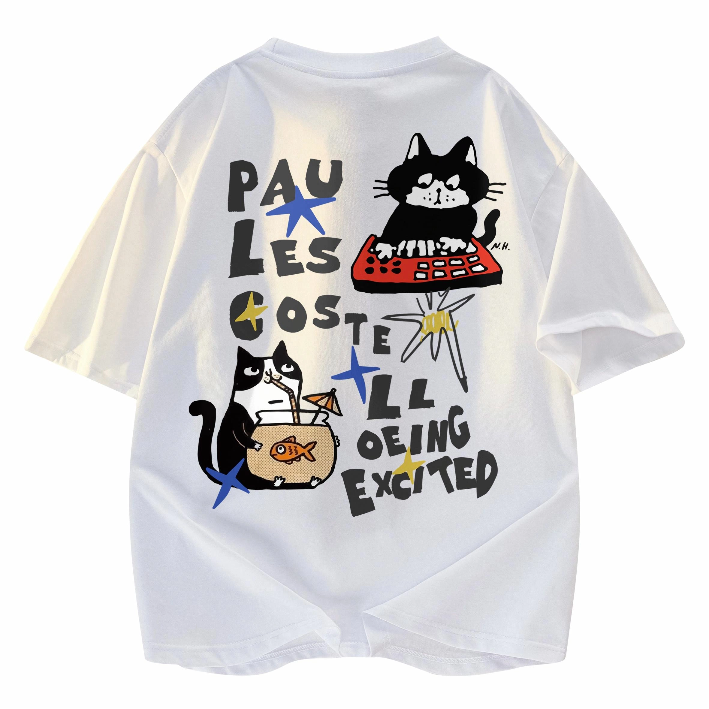 PAUL COSTELLOE T