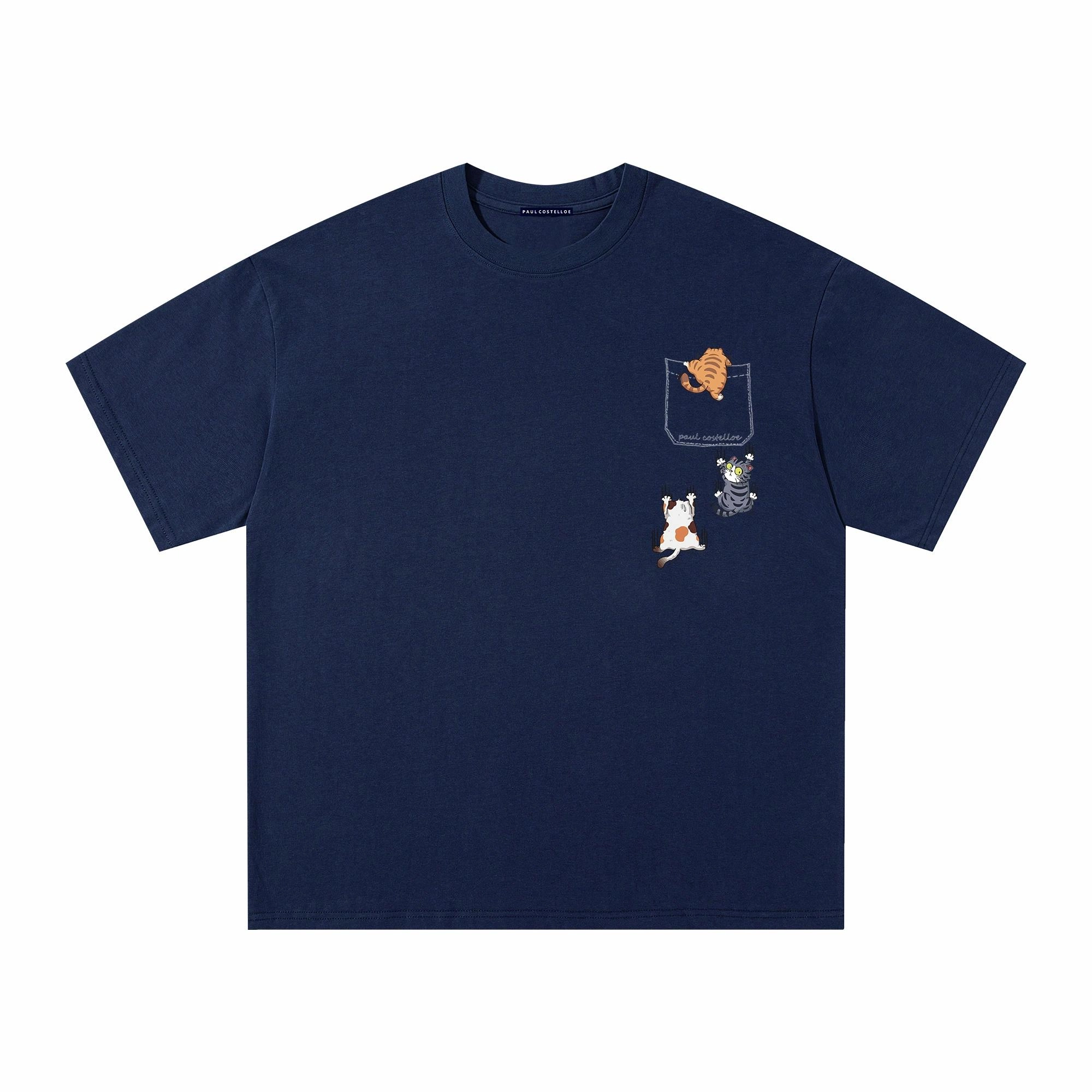 PAUL COSTELLOE T