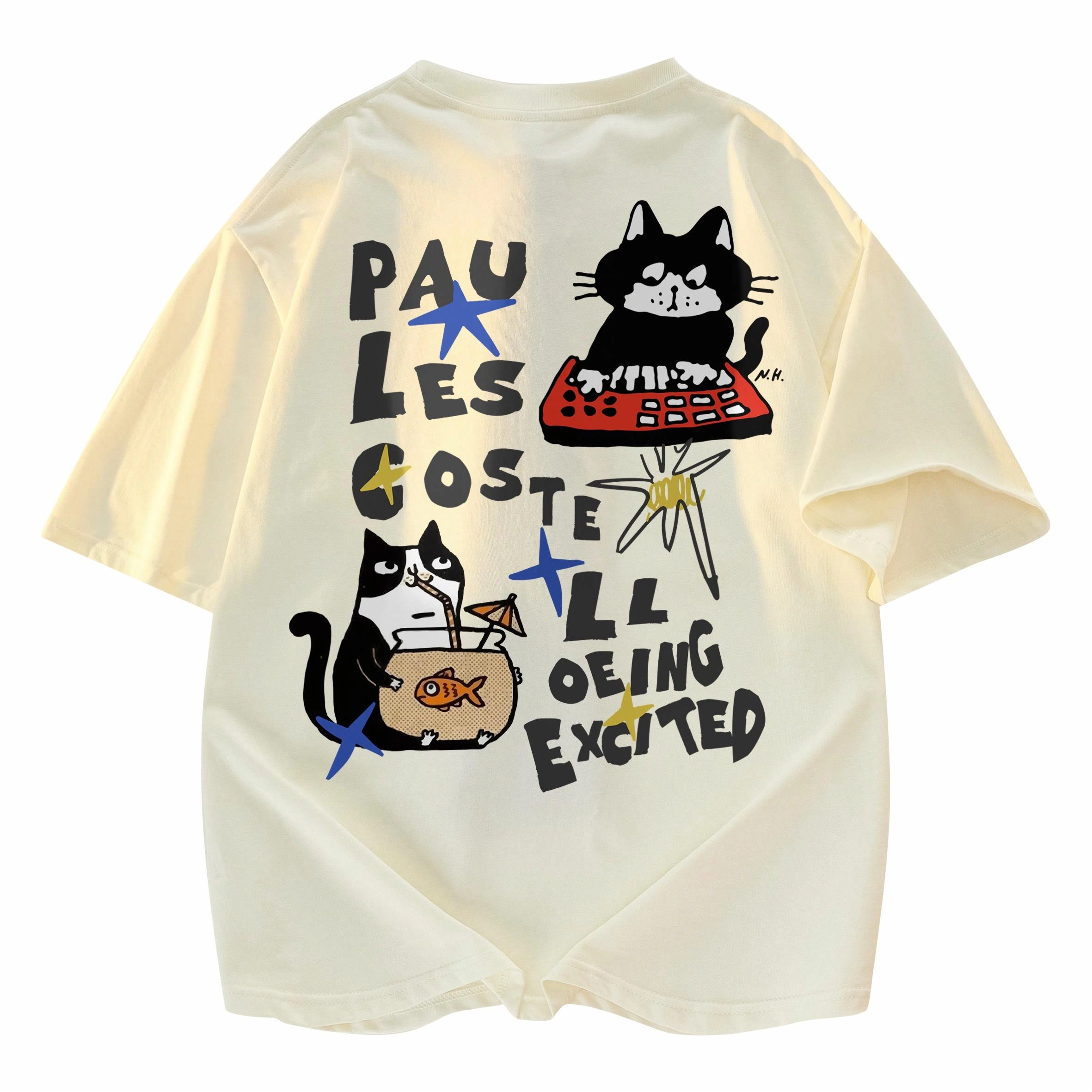 PAUL COSTELLOE T