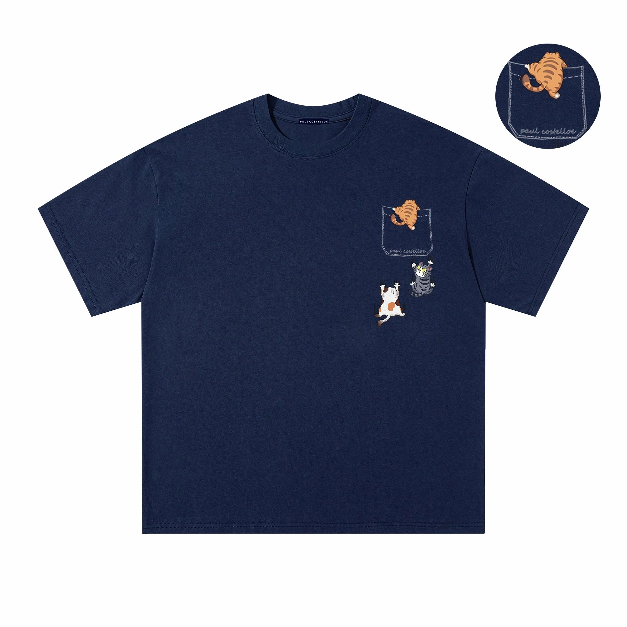 PAUL COSTELLOE T