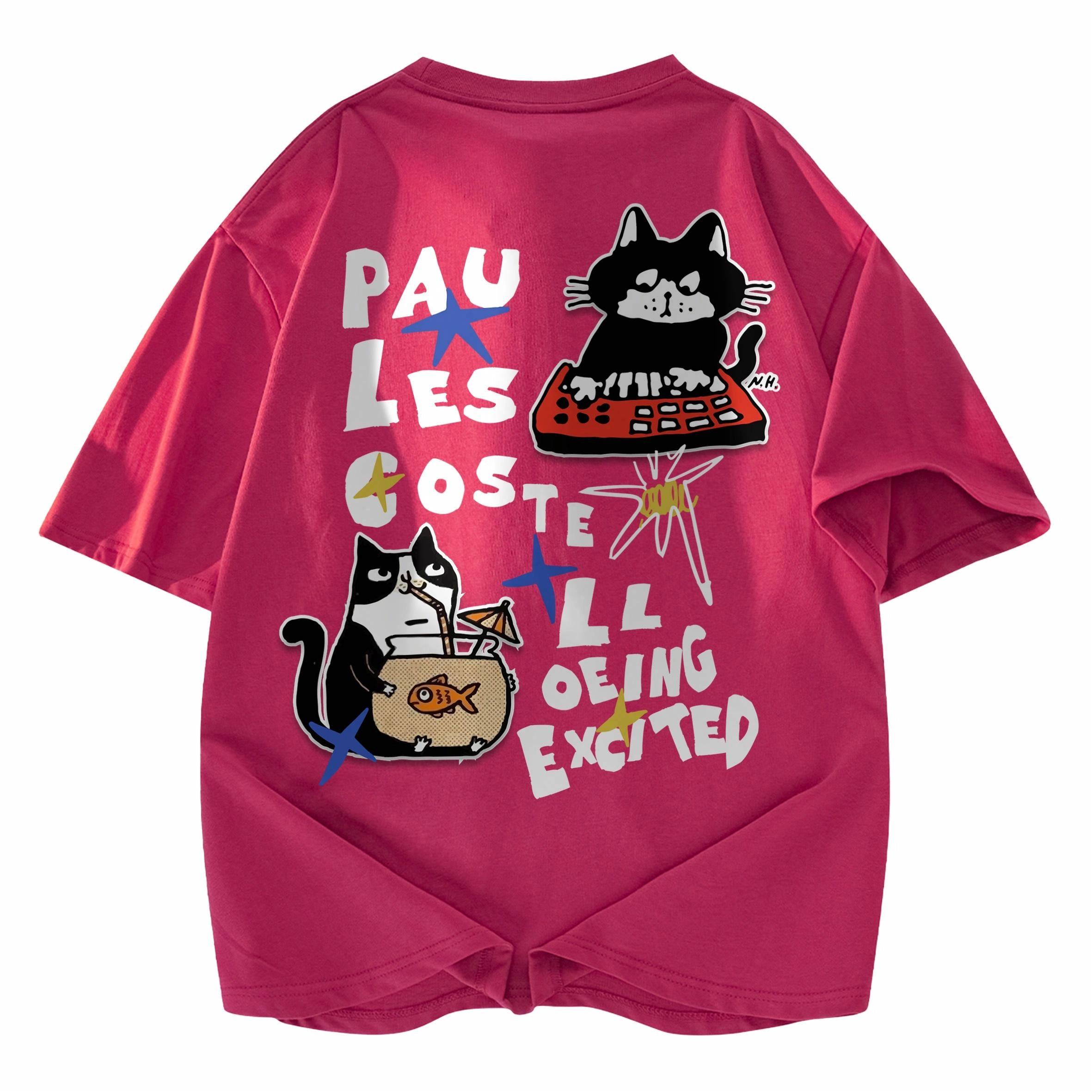 PAUL COSTELLOE T