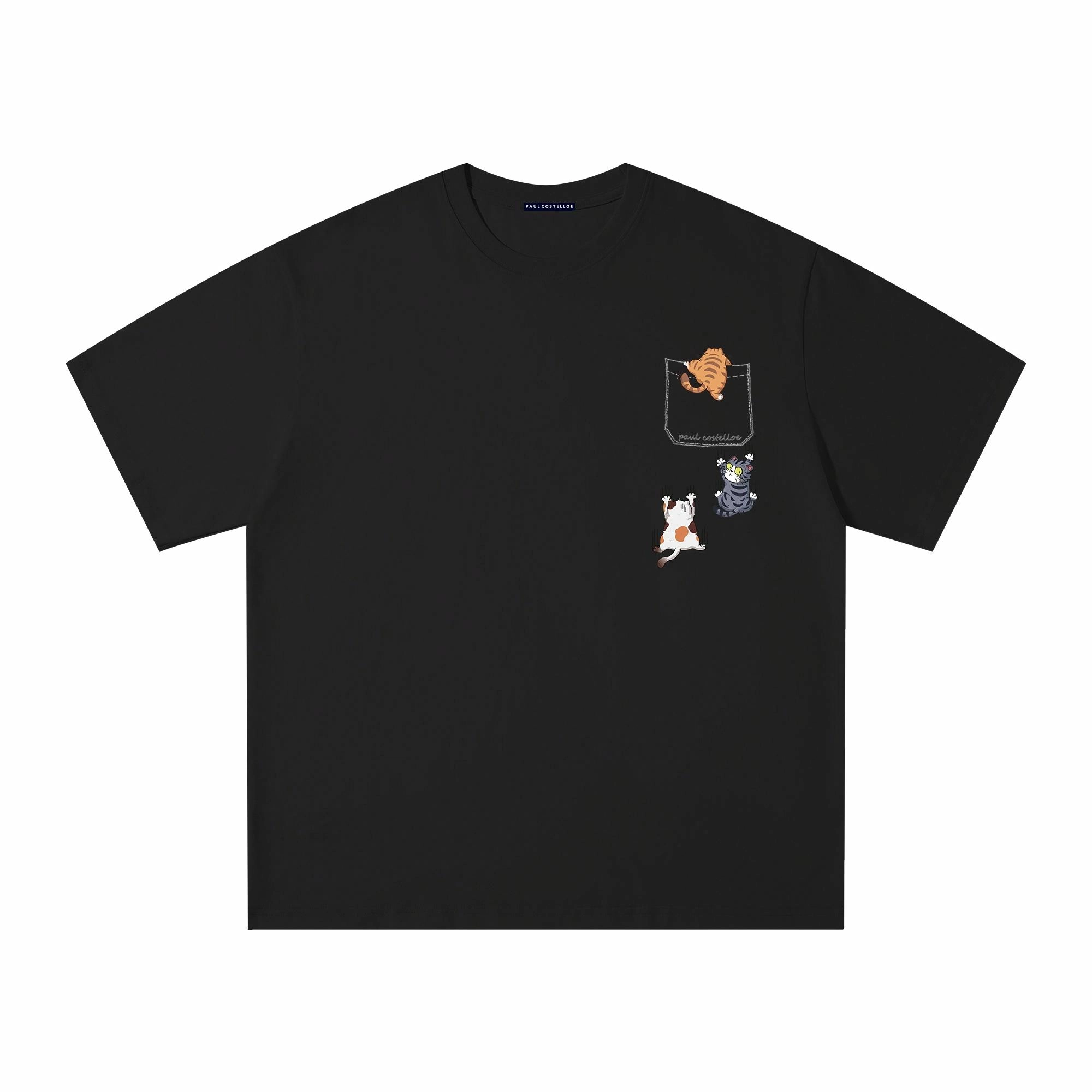 PAUL COSTELLOE T