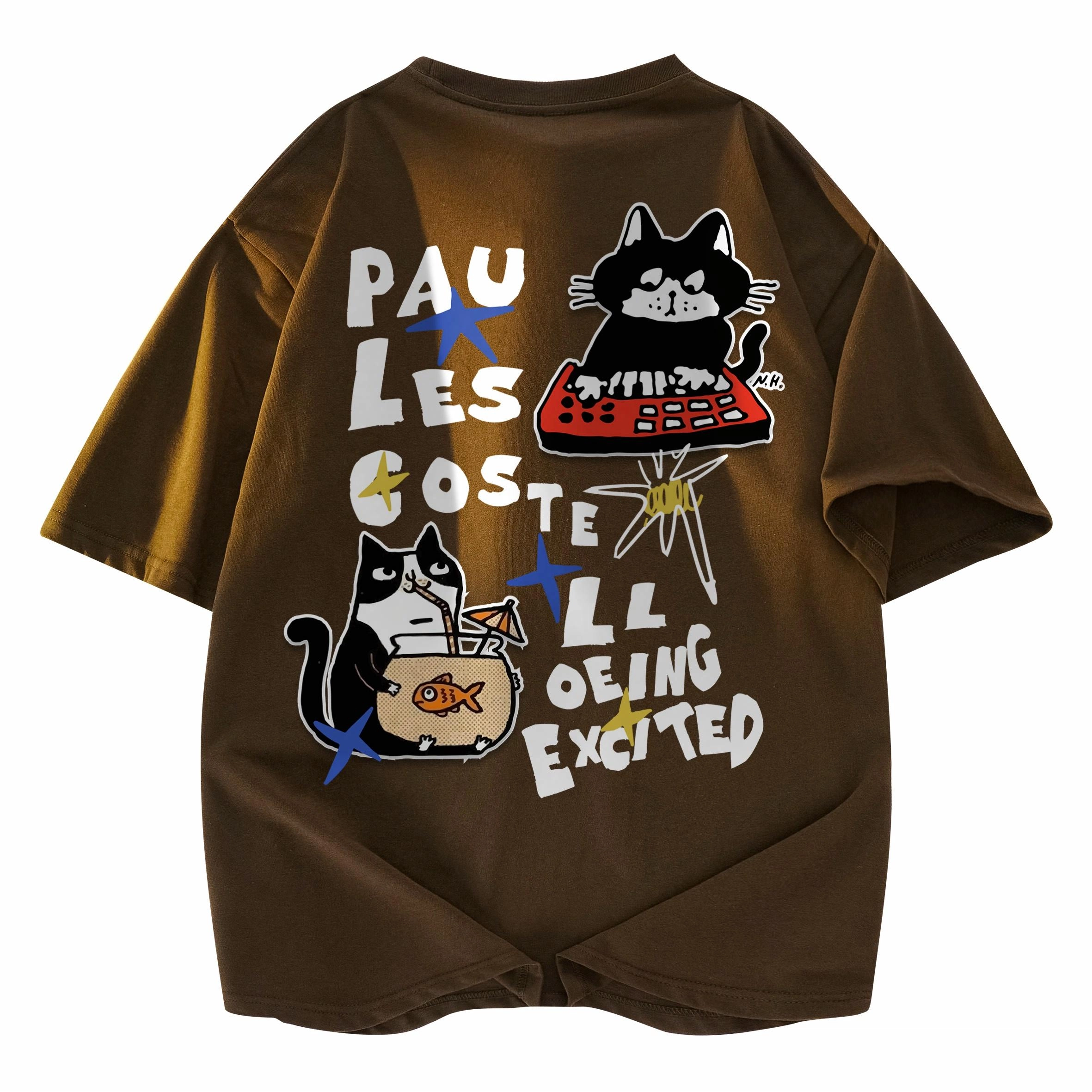 PAUL COSTELLOE T