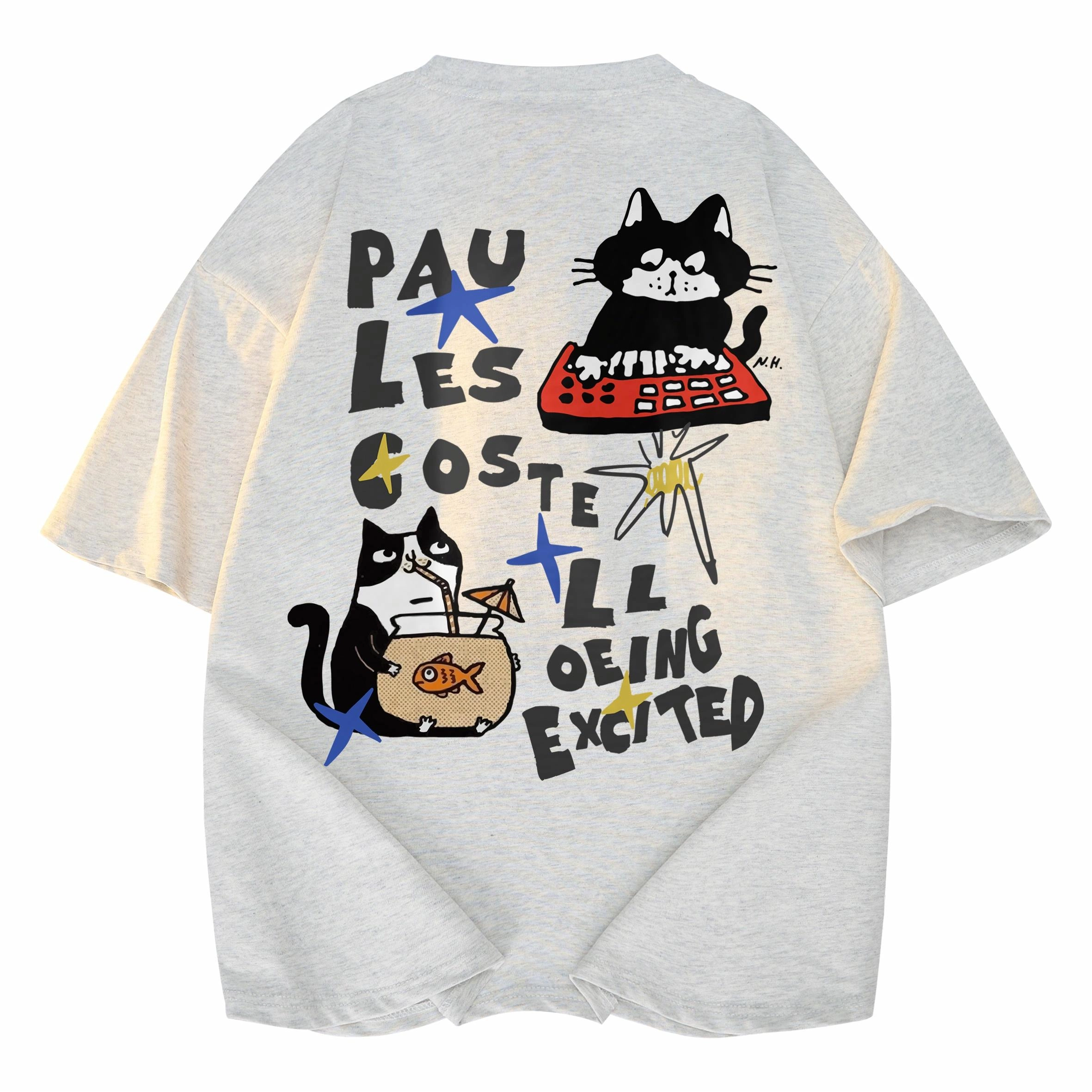 PAUL COSTELLOE T