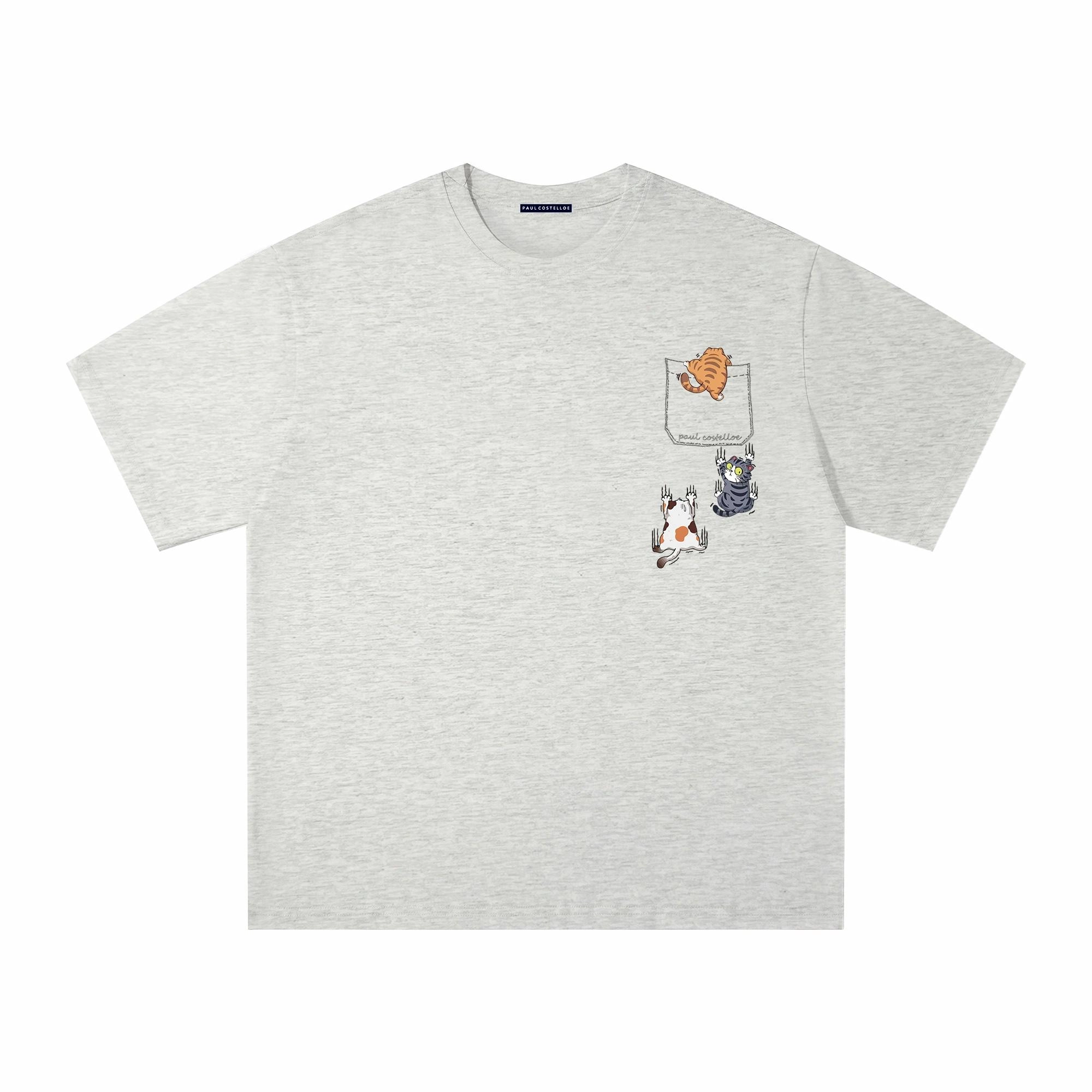 PAUL COSTELLOE T