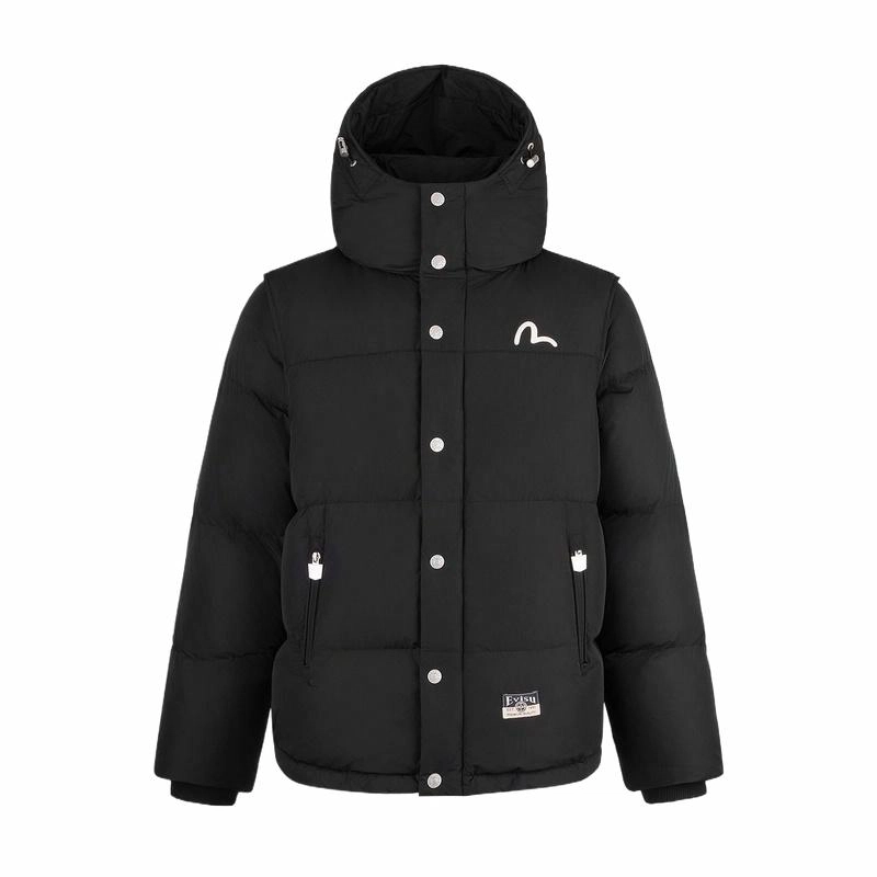 EVISU 2024