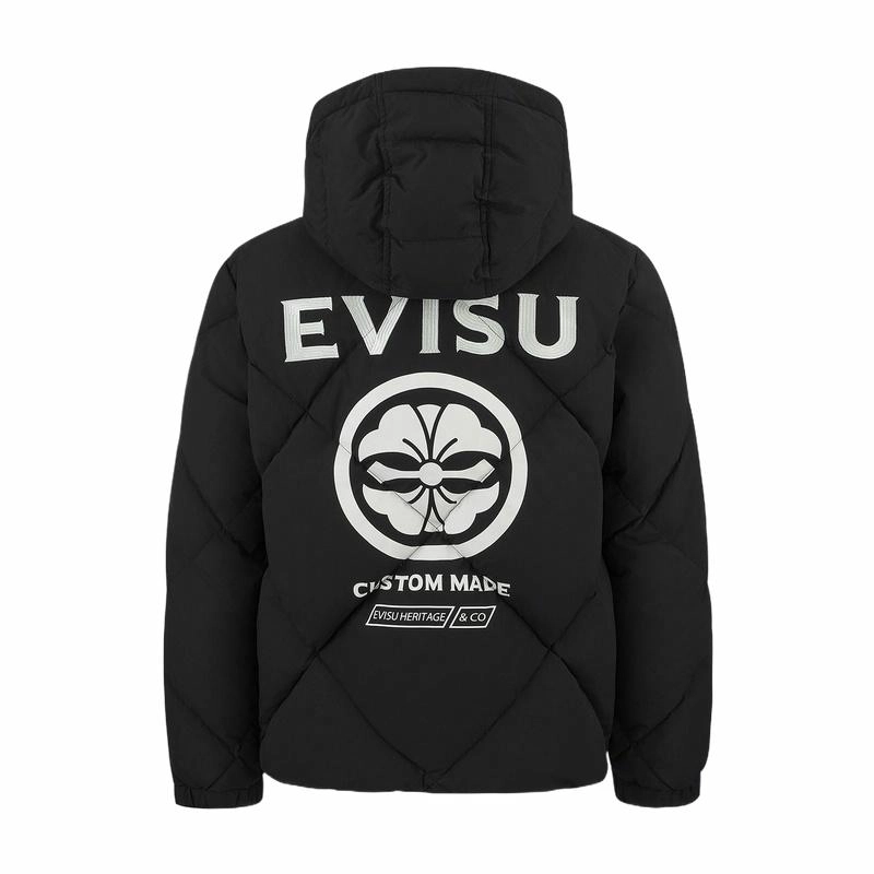 EVISU 2024