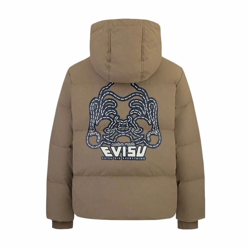 EVISU 2024